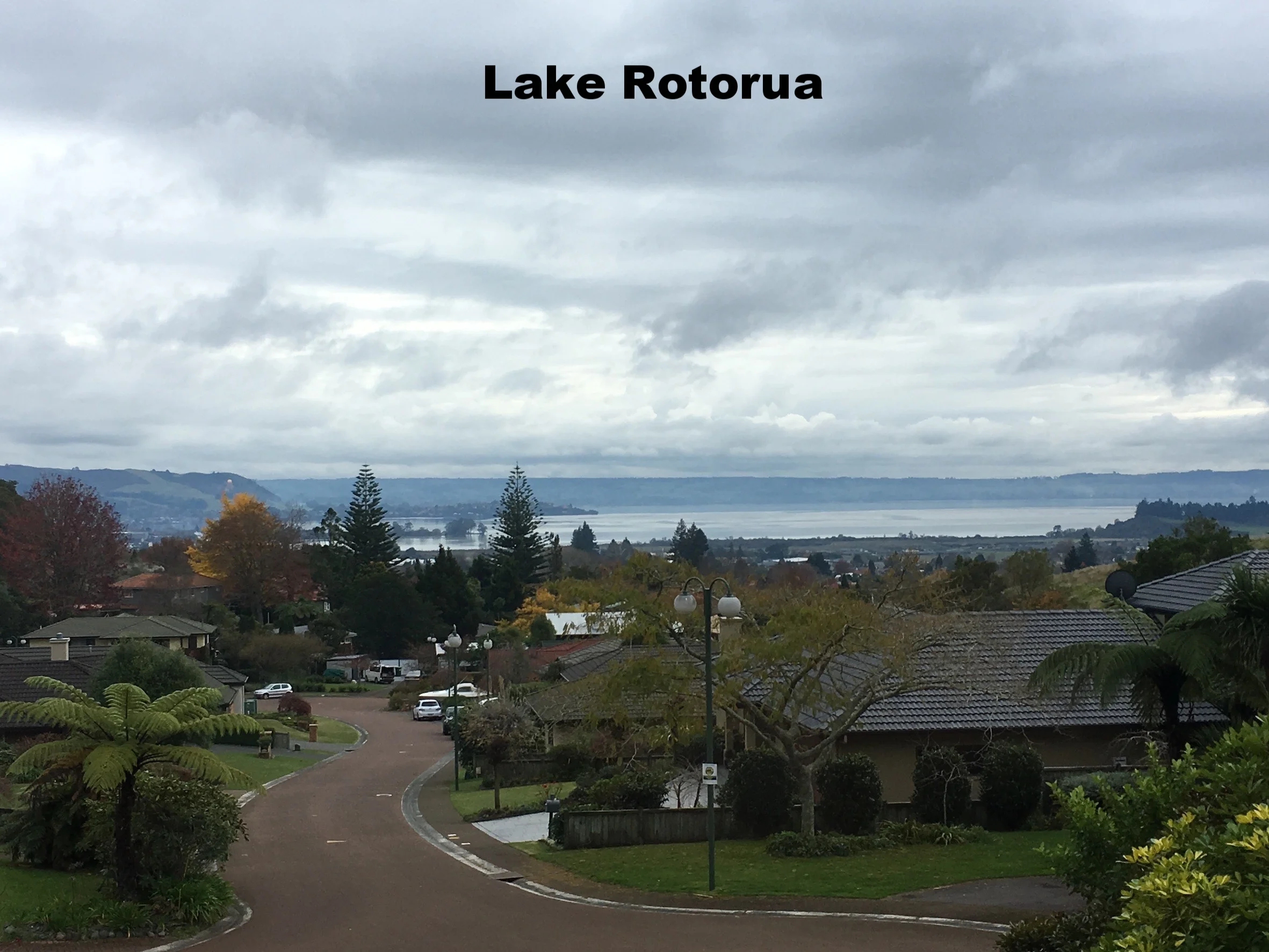rotorua-squashed.JPG