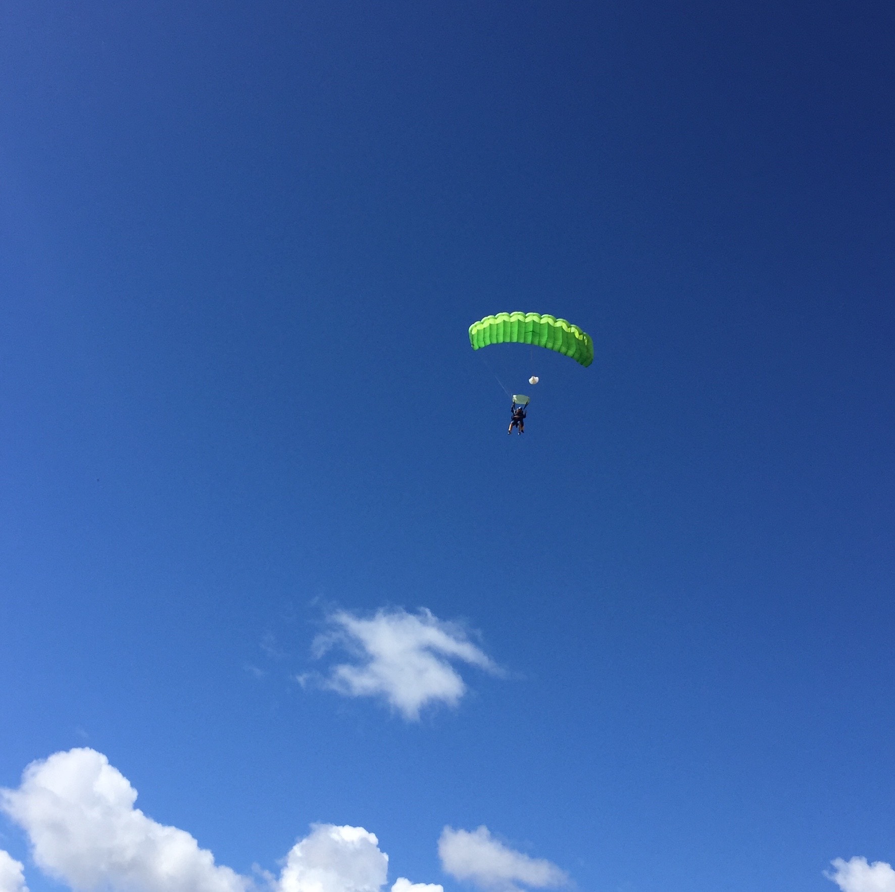 Sky Dive Taupo