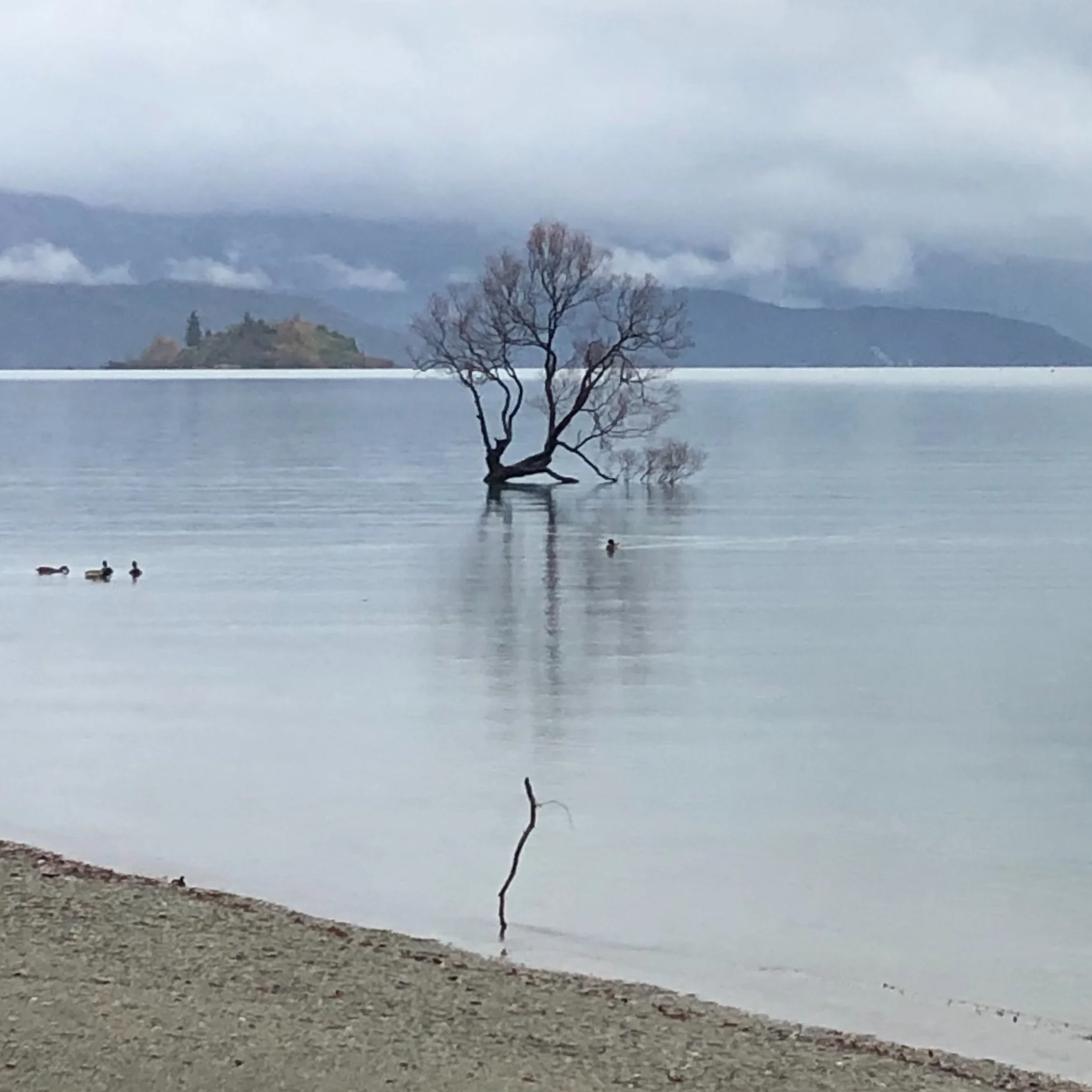Mali Stacey Linda Wanaka