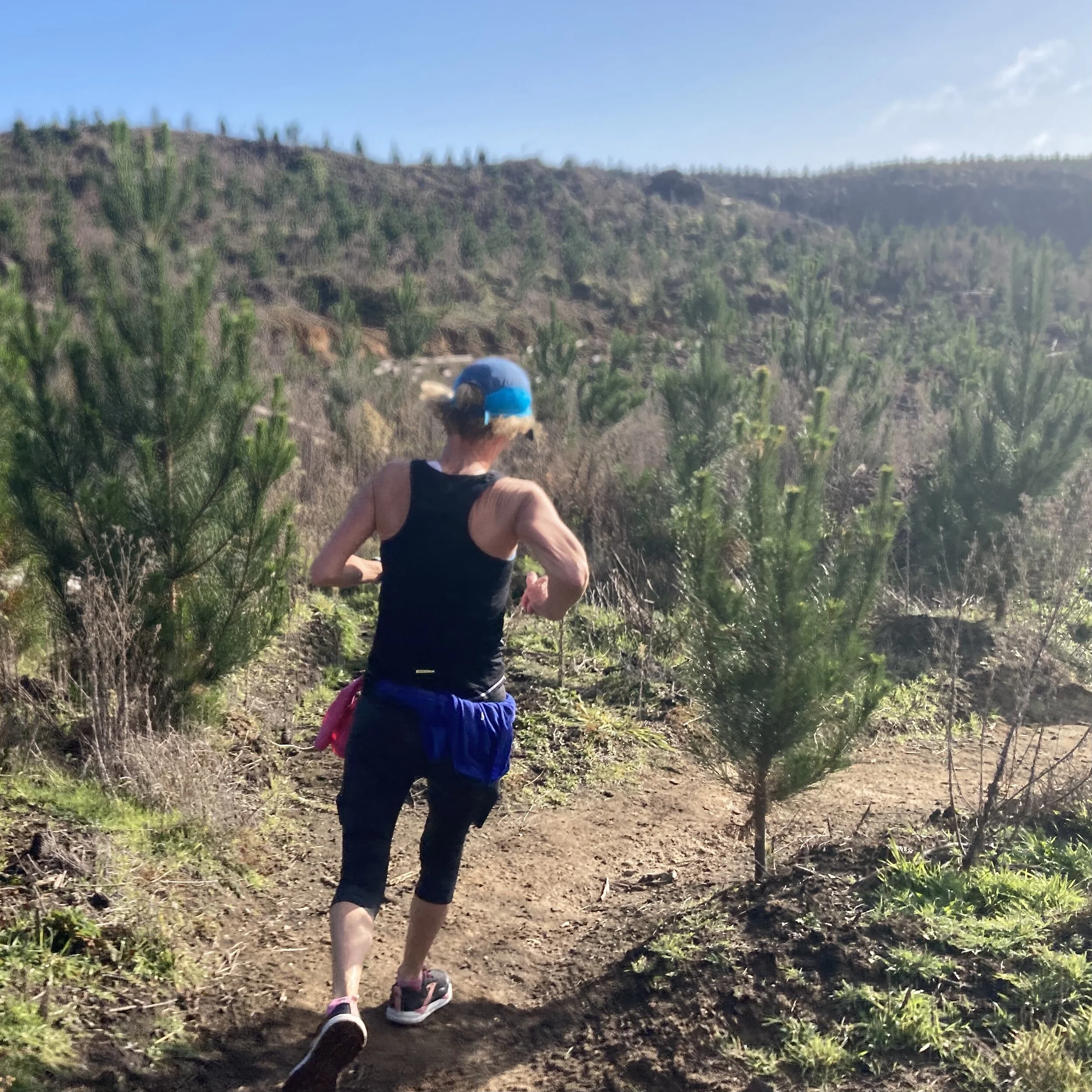 Trail Run 