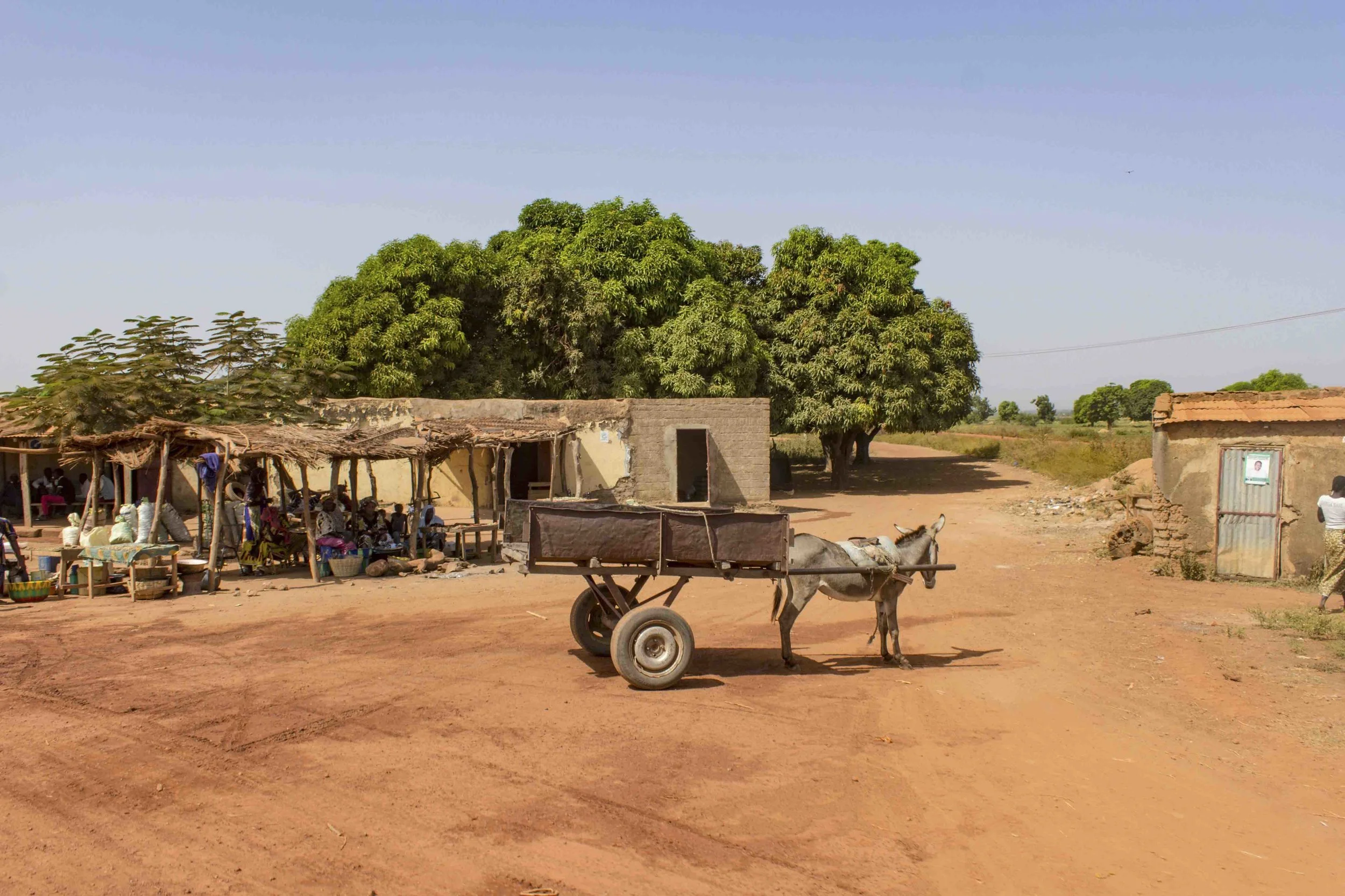 WEB_AFRICA_14.jpg