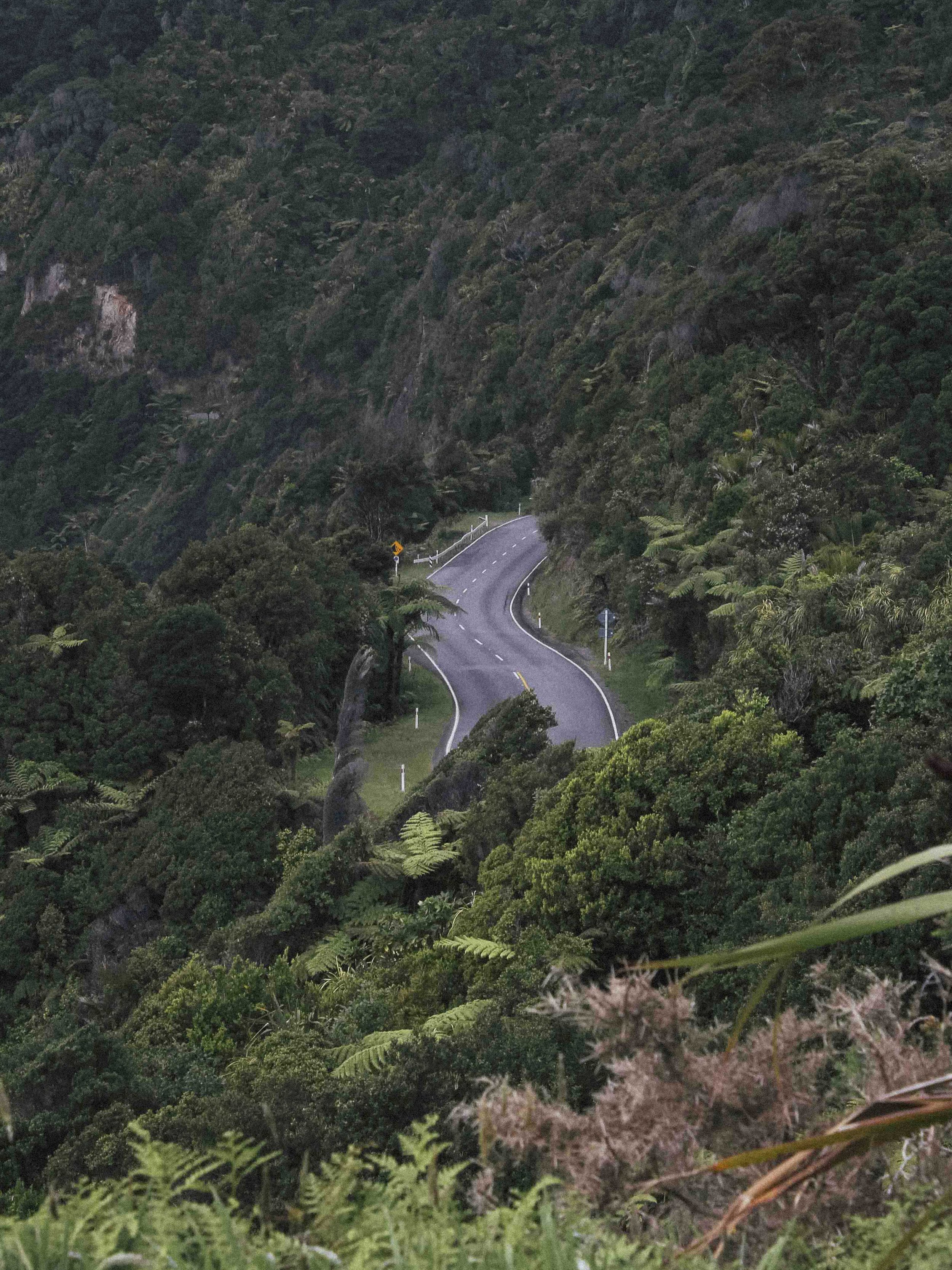 NEW ZEALAND_WEB_6.jpg