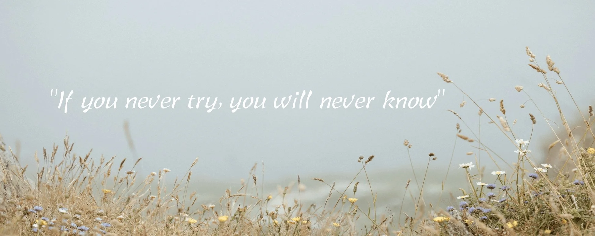 Tamashi Wellbeing Banner II.jpg