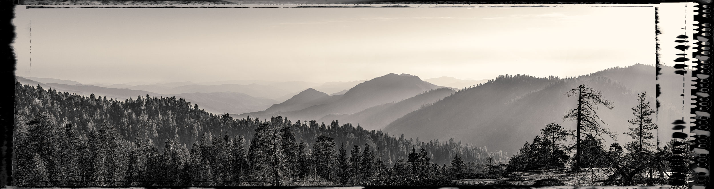 Sequoia Valley-1 (1).jpg