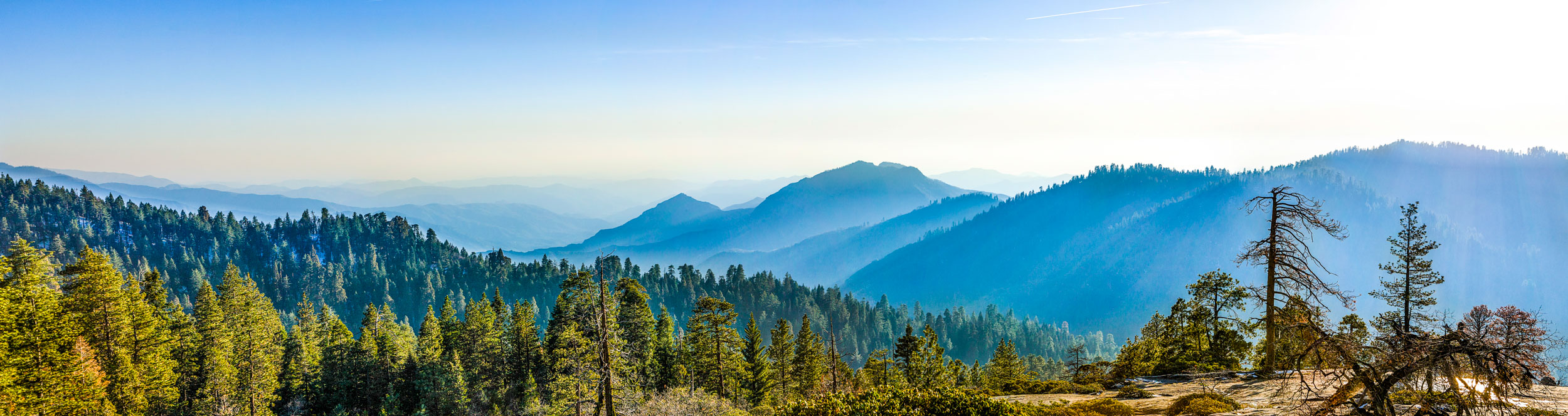 Sequoia Valley-1.jpg