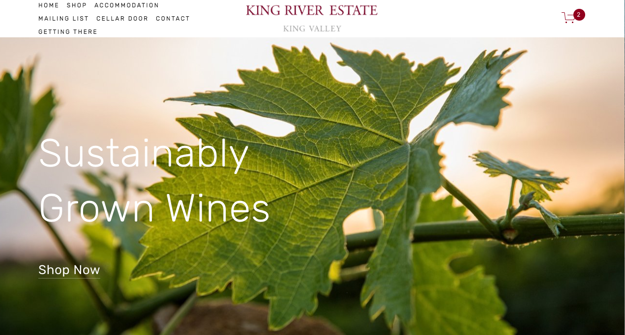 How to build a website