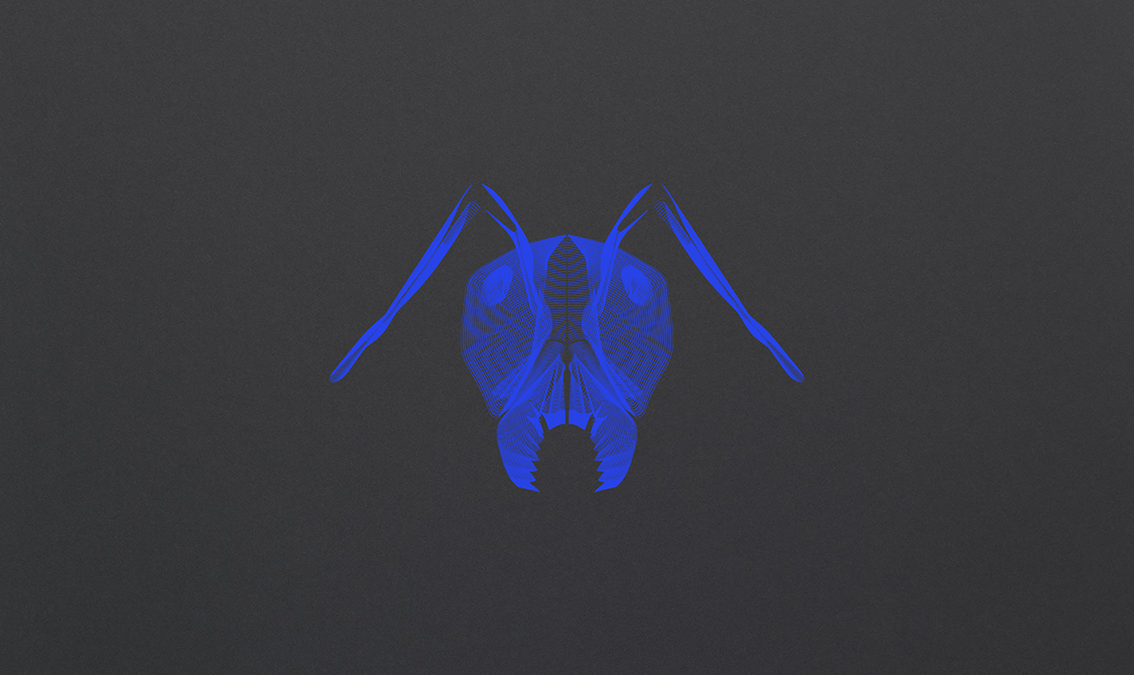 ant-profile.png