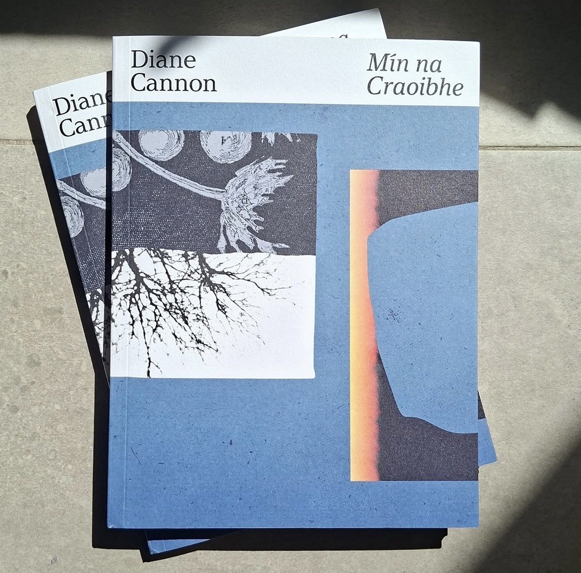 Where to buyMín na Craoibhe. The Album and Book