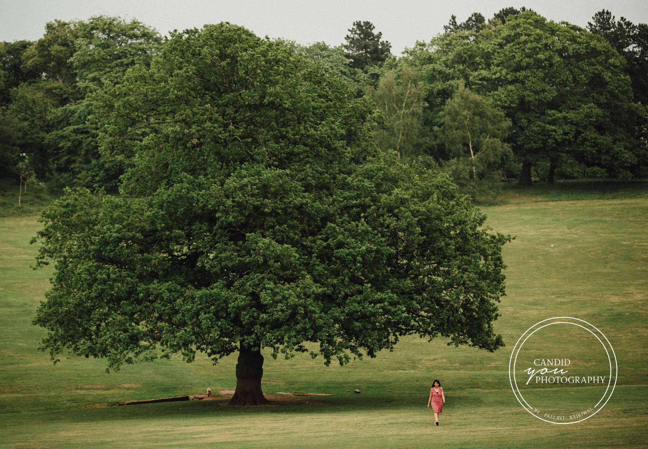lady walking to a giant tree in a park