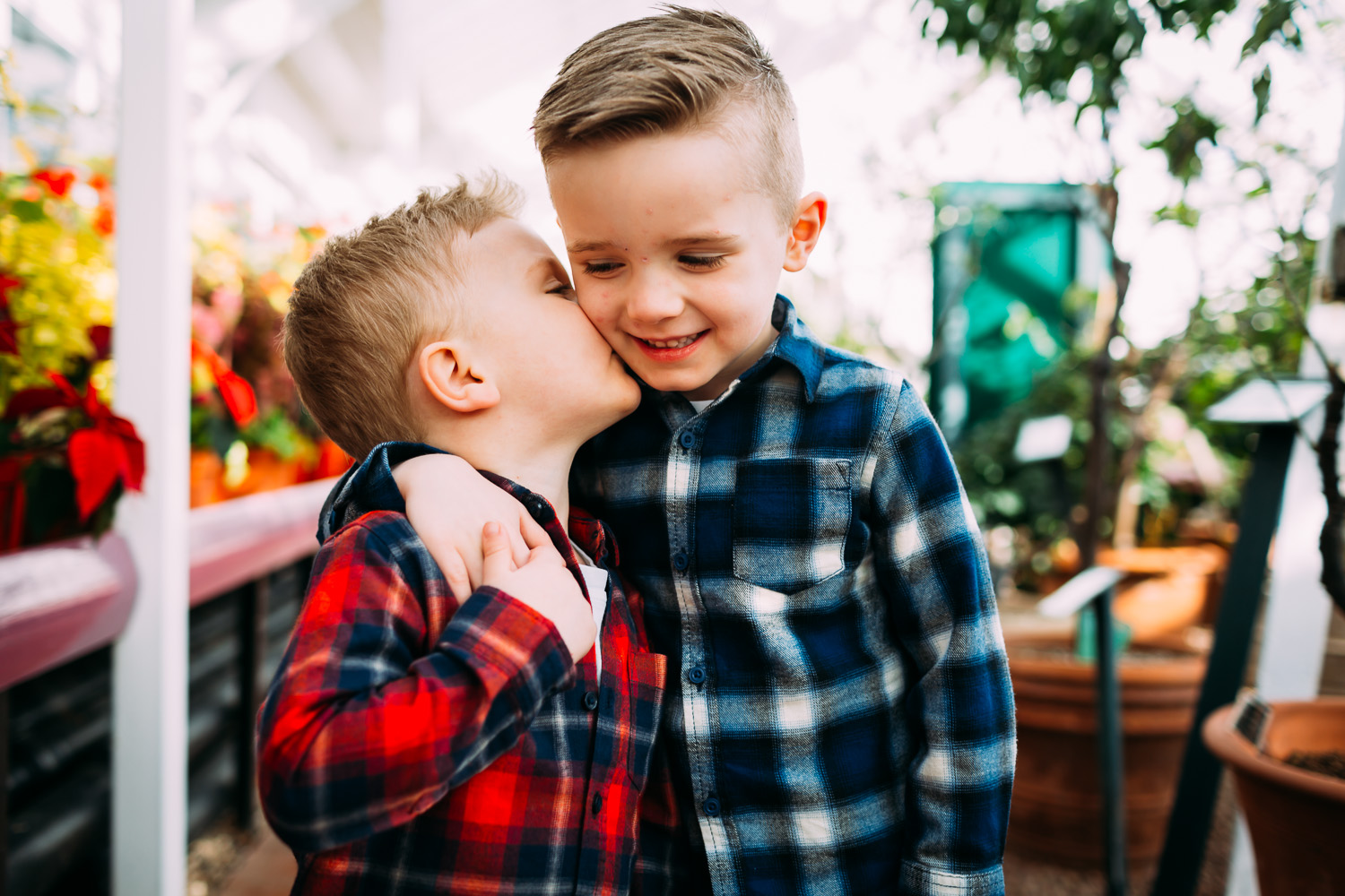 two brothers under 5s hugging and kissing each other in plaid shirts