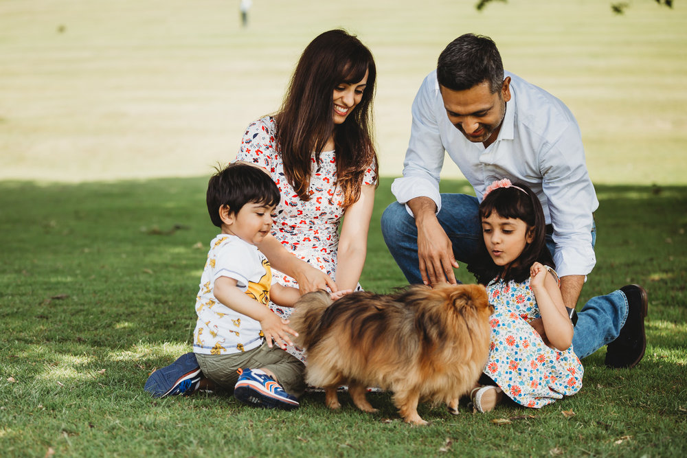 family of four playing with dog in park