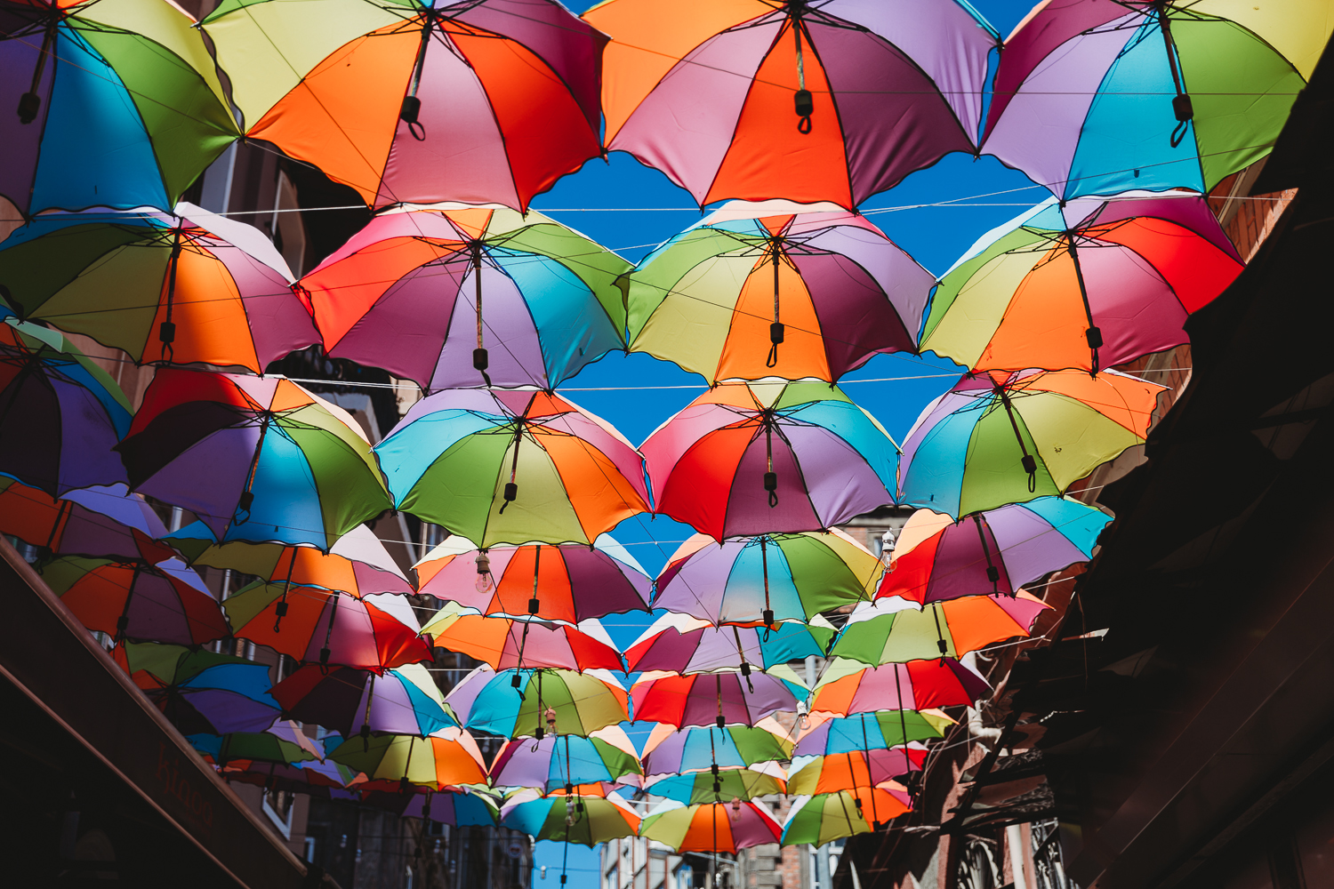 umbrella street in karakoy