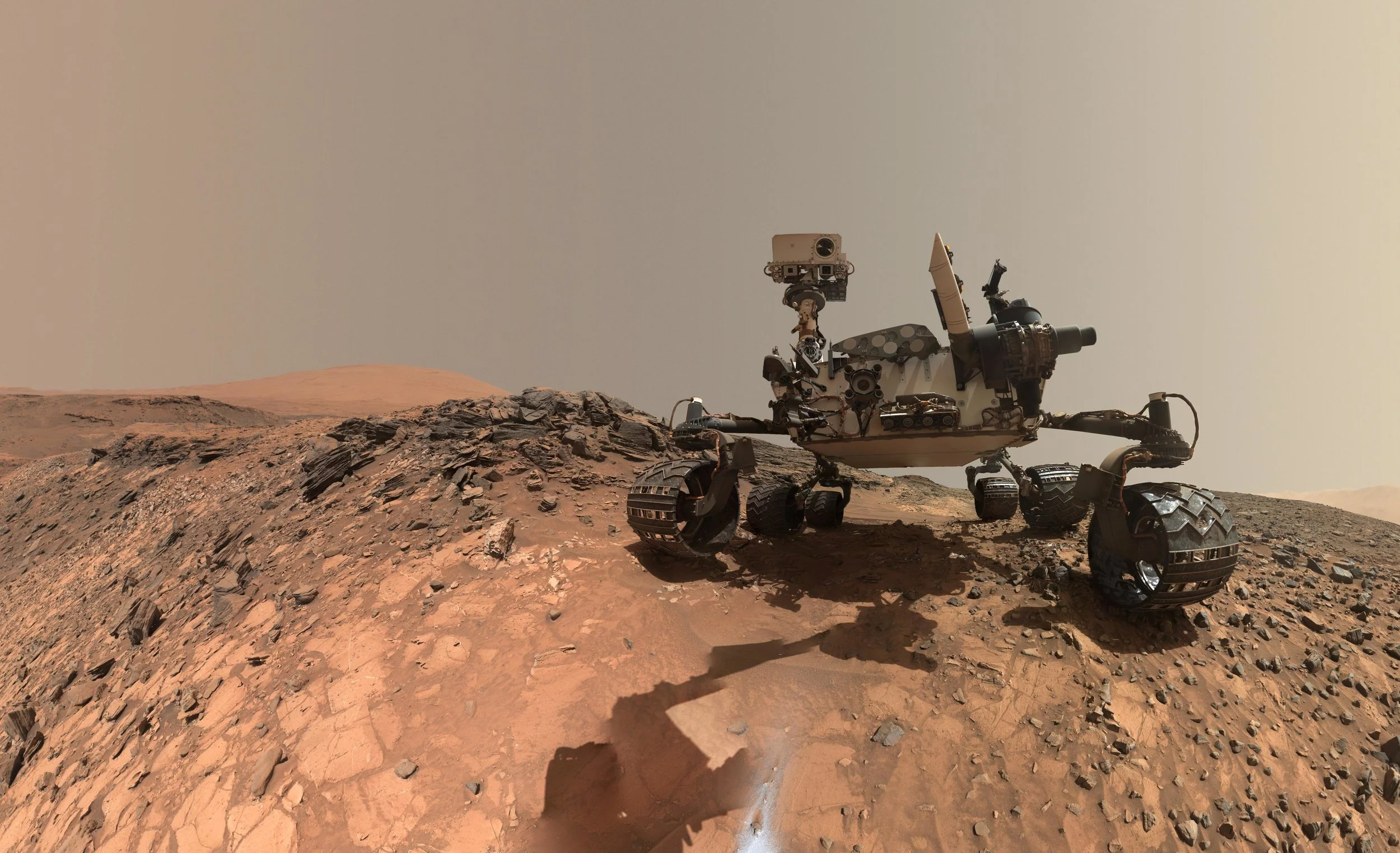 A landmark discovery of potential life on Mars..
