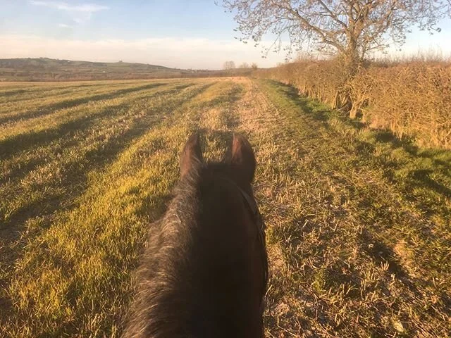Sunset Rides With My Love ⚡️