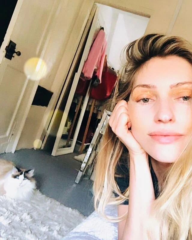 Best Isolation Partner ⚡️ #ragdollcat