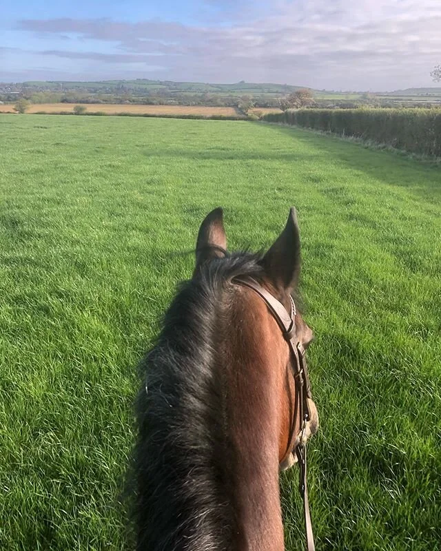 Just Us ⚡️ #equestrianlife #meandmyhorse