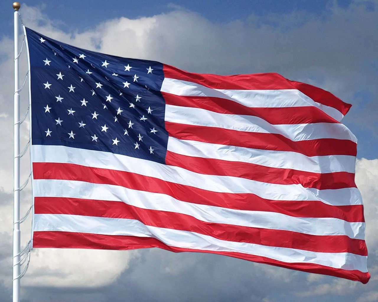 Website Home Logo.jpeg