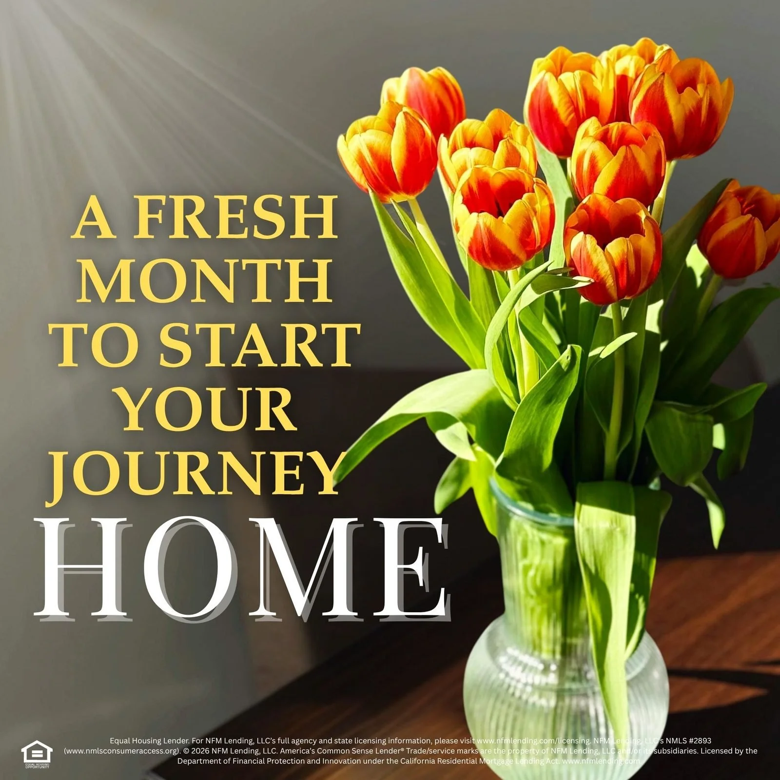 social--spring--2.jpg