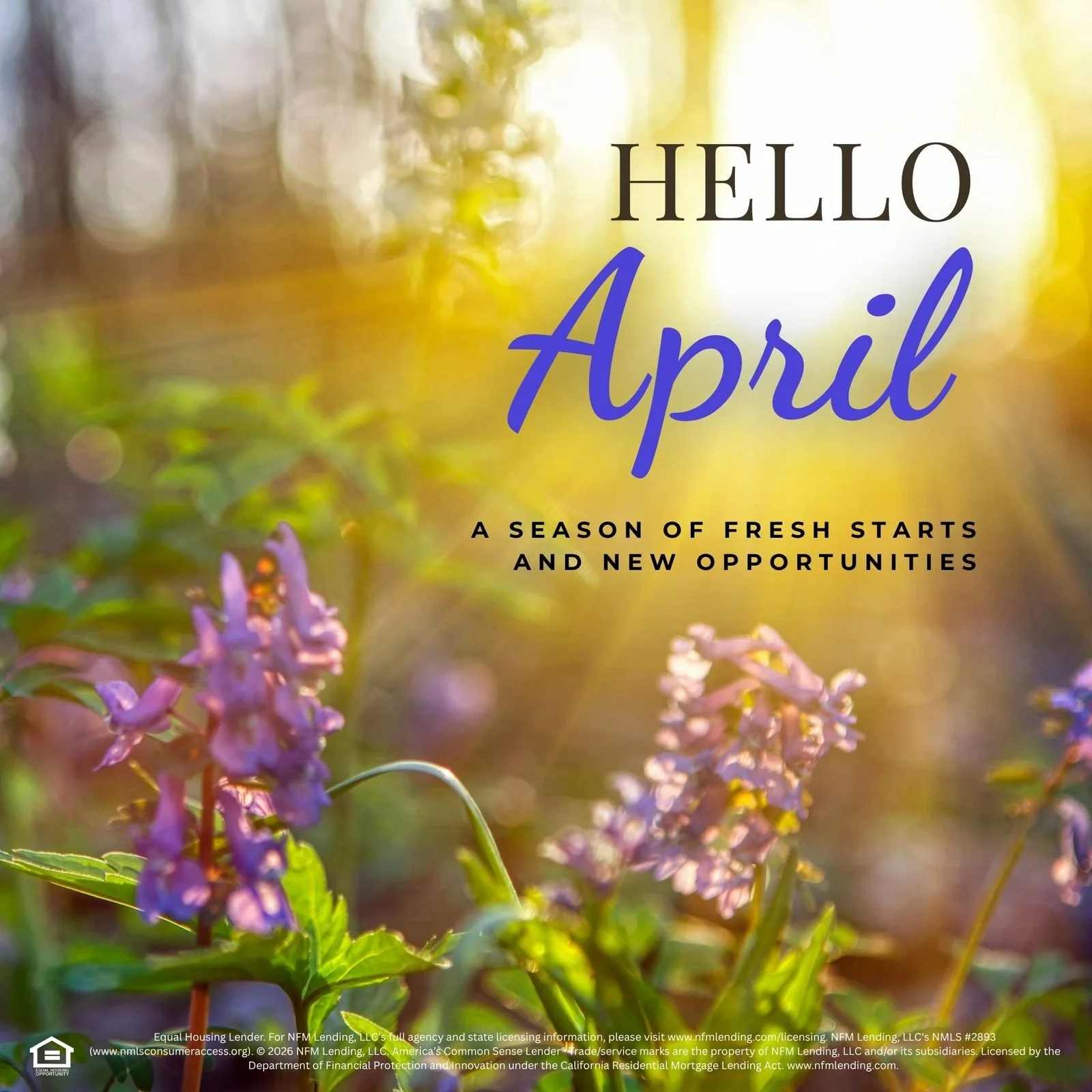 social--spring--1.jpg