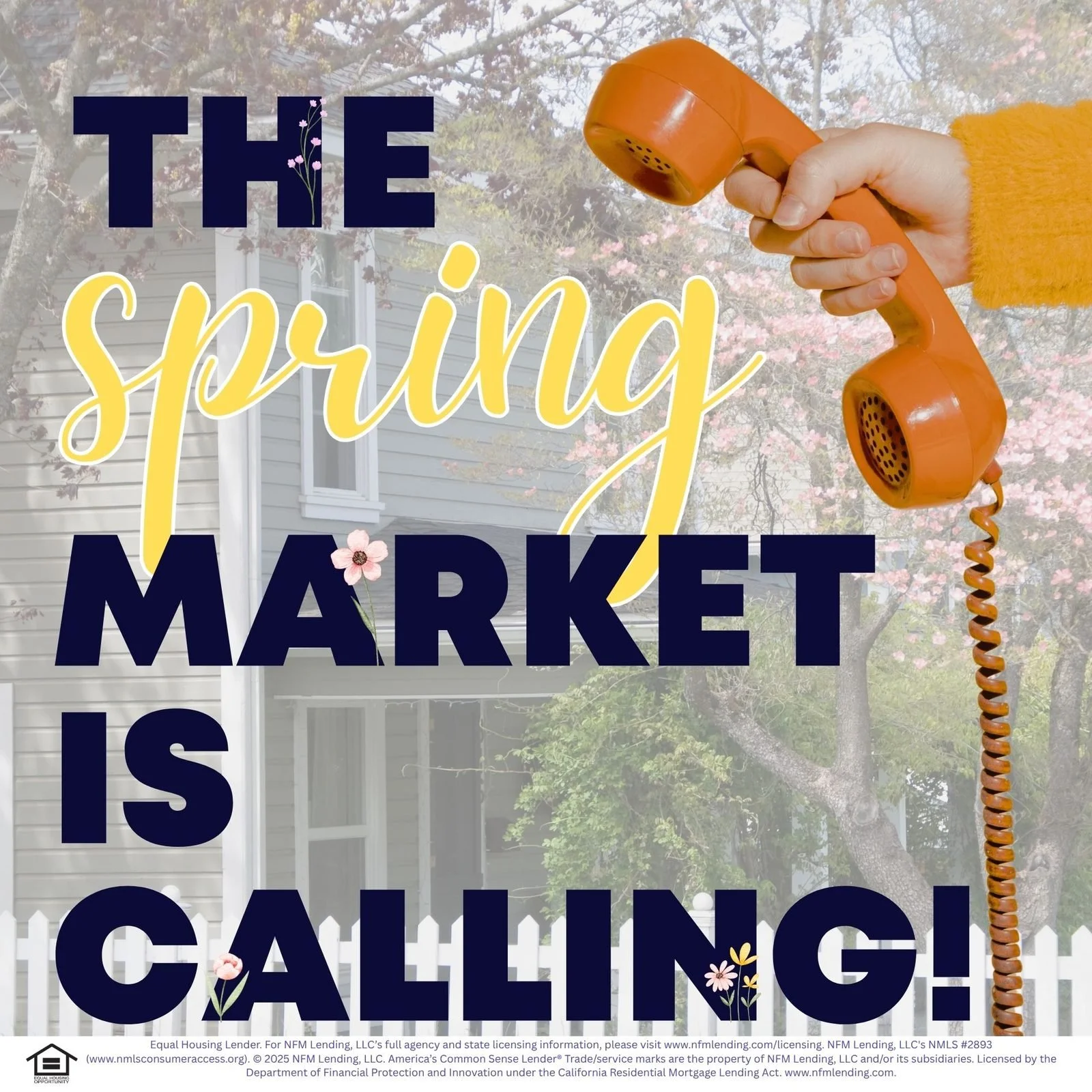 social--spring--3.jpg