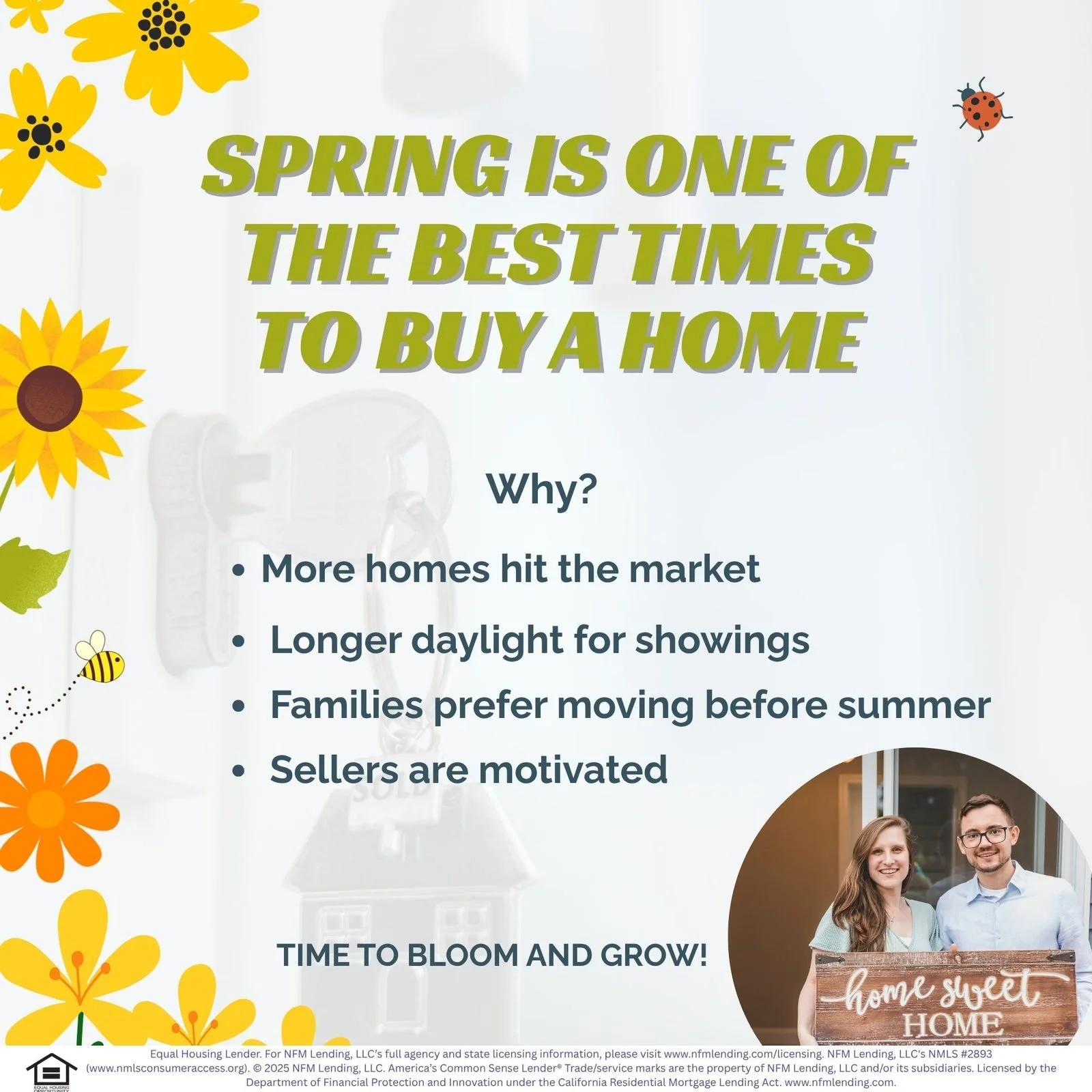social--spring--4.jpg