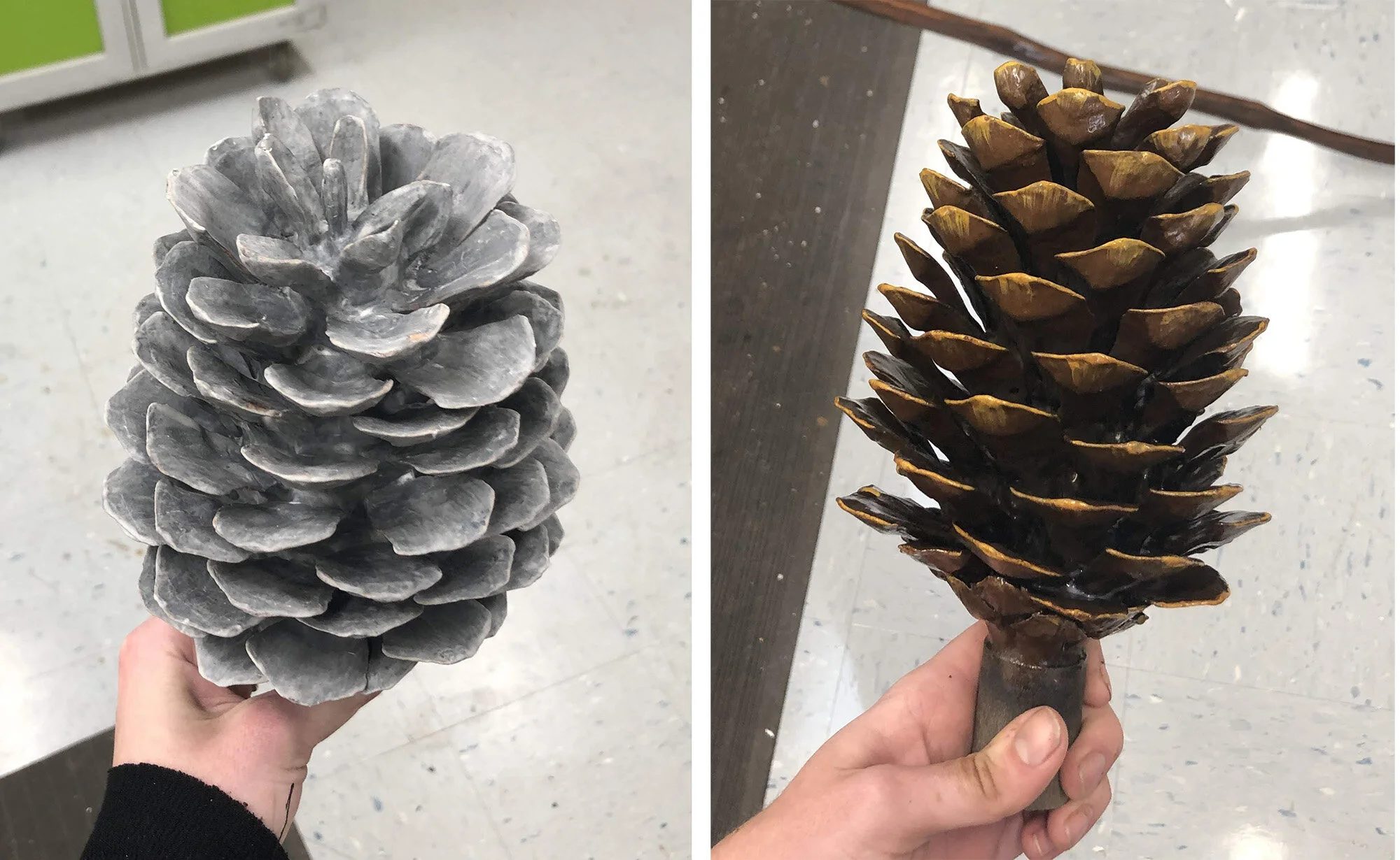 Pinecone.jpg