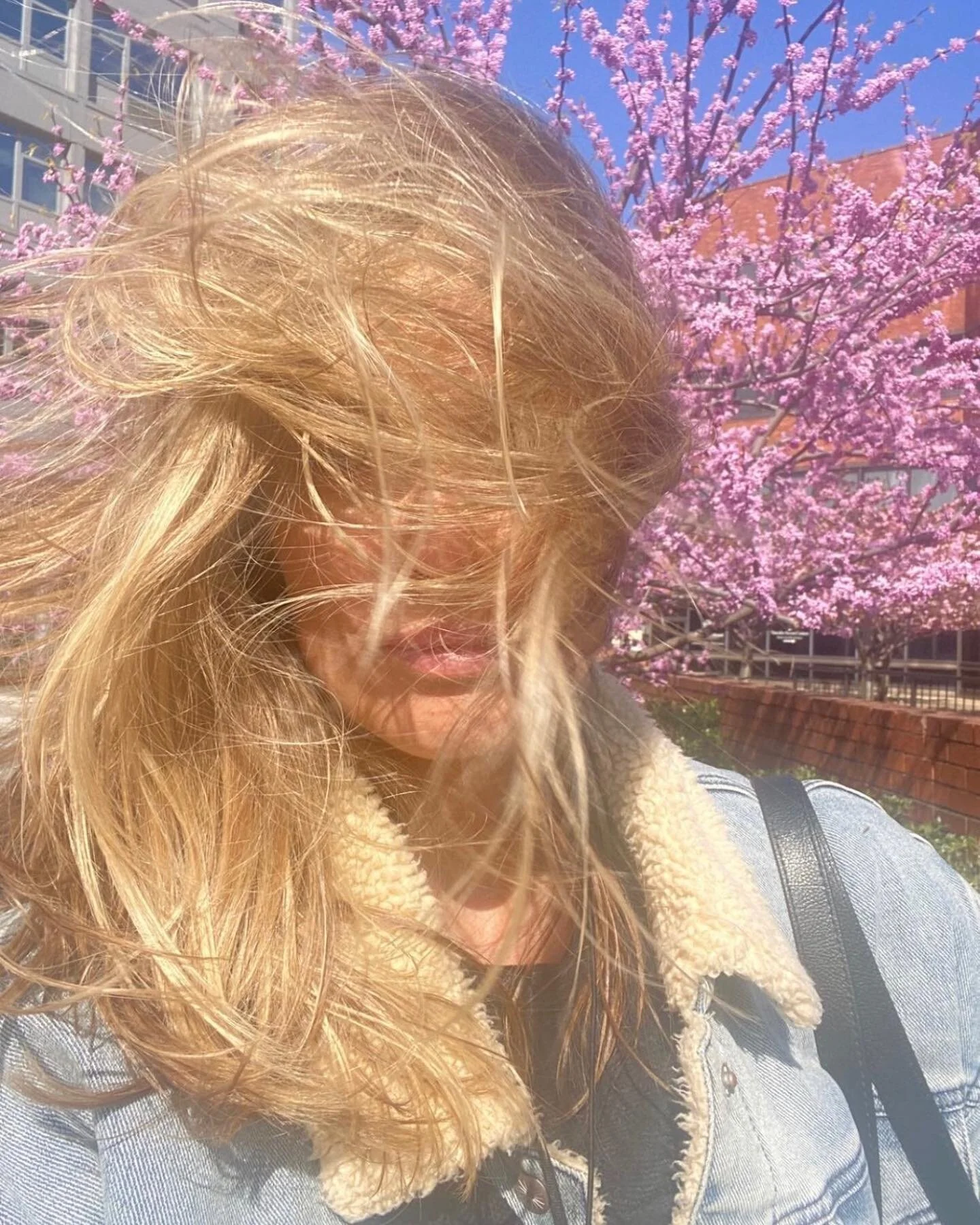 @jennifer.ohlsson serving springtime realness in highlights by @m_r_angelo ⁣
.⁣
.⁣
.⁣
.⁣
.⁣
#balayagehighlights #balayageombre #blond #blonde #blondedoitbetter #blondegirl #blondehairgoals #blondehairstyles #blondehighlights #blondhair #haircare #hai