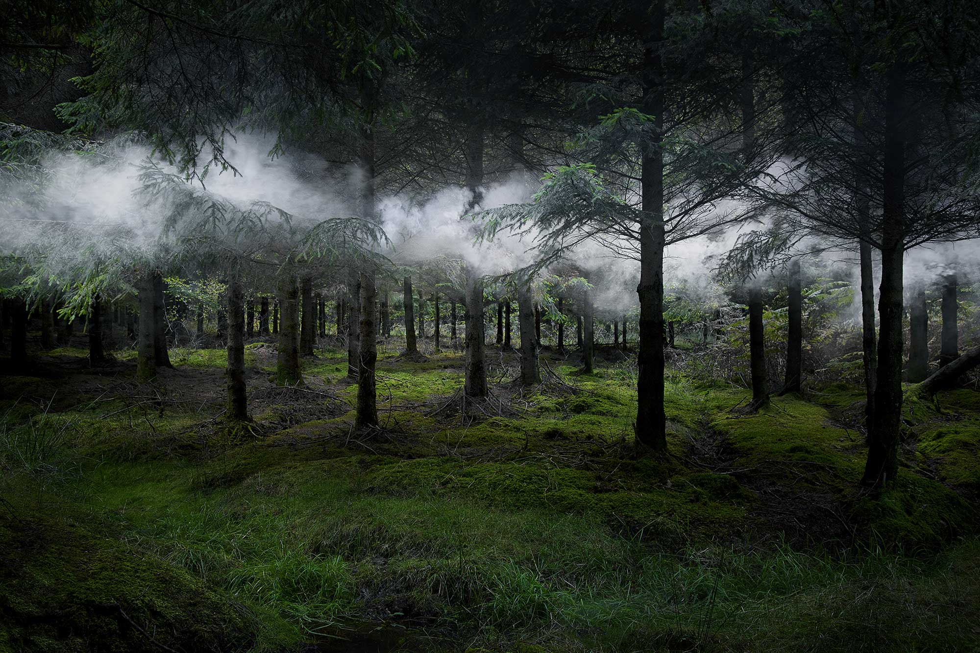 Between-the-Trees-3-2014.jpg