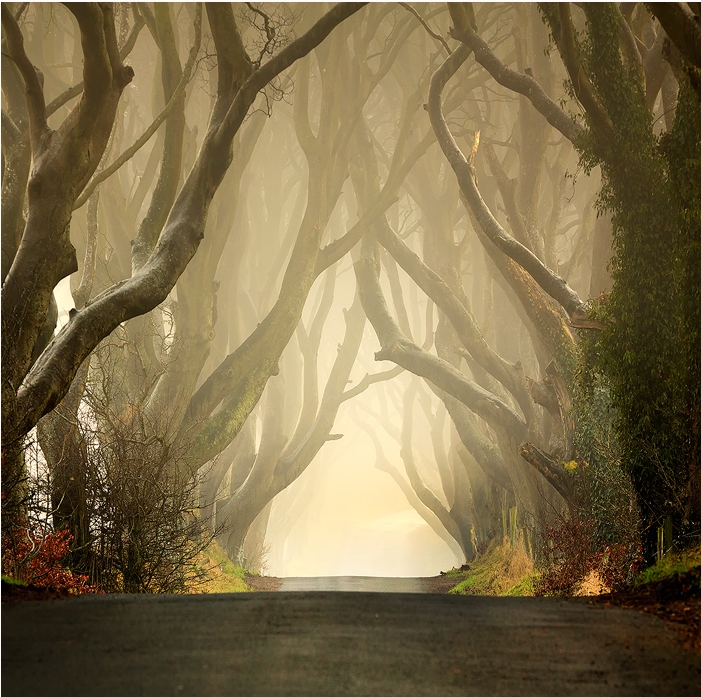 Photography by http://klarens-photography.deviantart.com/