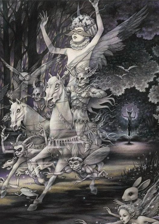 The Nightwood, by Canadian author and illustrator, Robin Muller