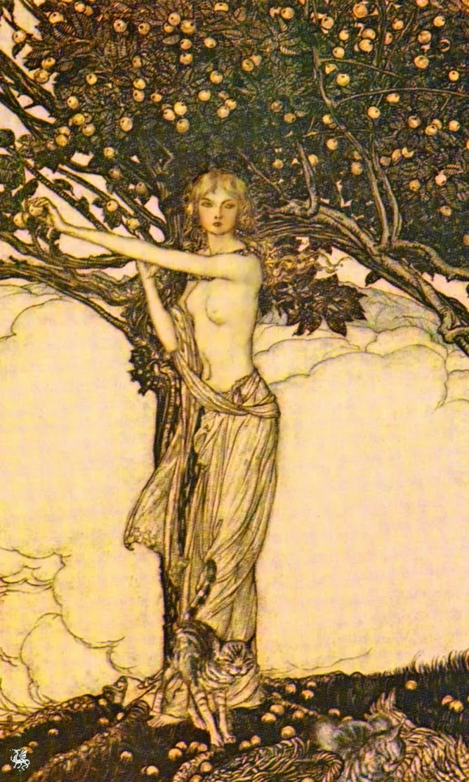 Art by Arthur Rackham