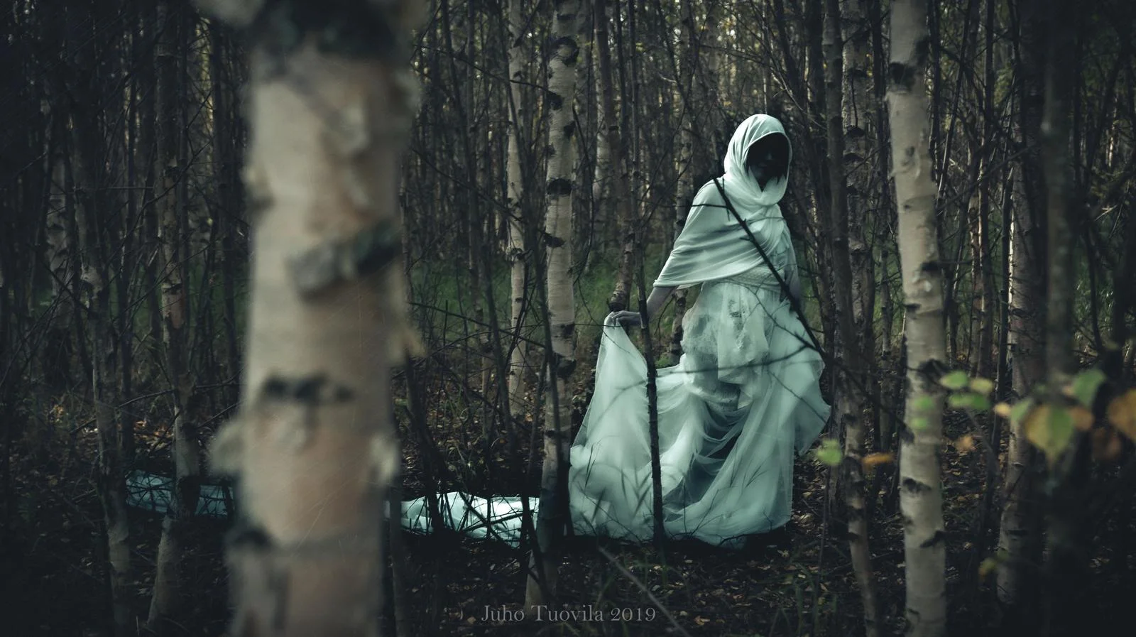 Photography https://www.deviantart.com/tuovila