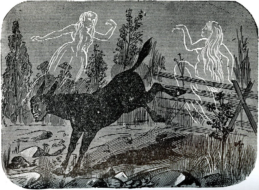 Dean Turned into a Mule, 1894, An Authenticated History of the Famous Bell Witch