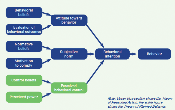 literature review on theory of reasoned action