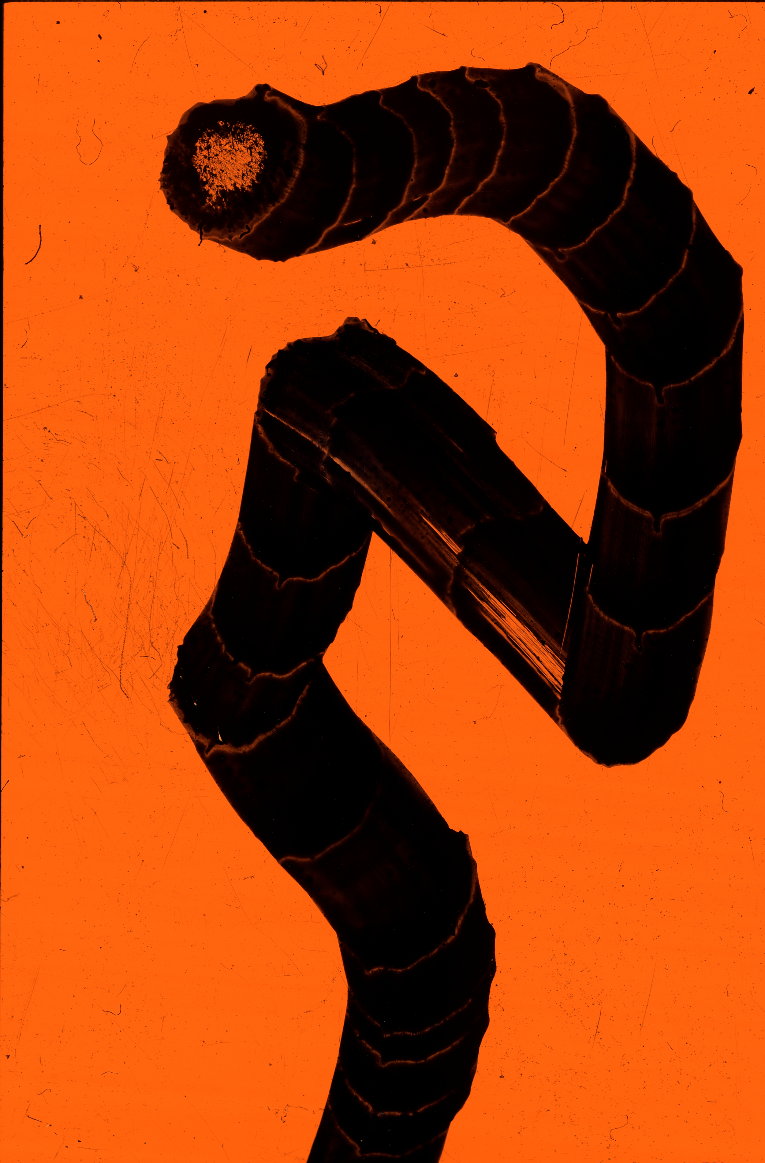 AS_673383