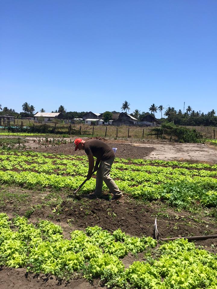 Nicolas in Mozambique Africa teaching farmers about compost tea and a garlic/chilli pepper spray as a pest control alternative to the chemicals they've always used.
