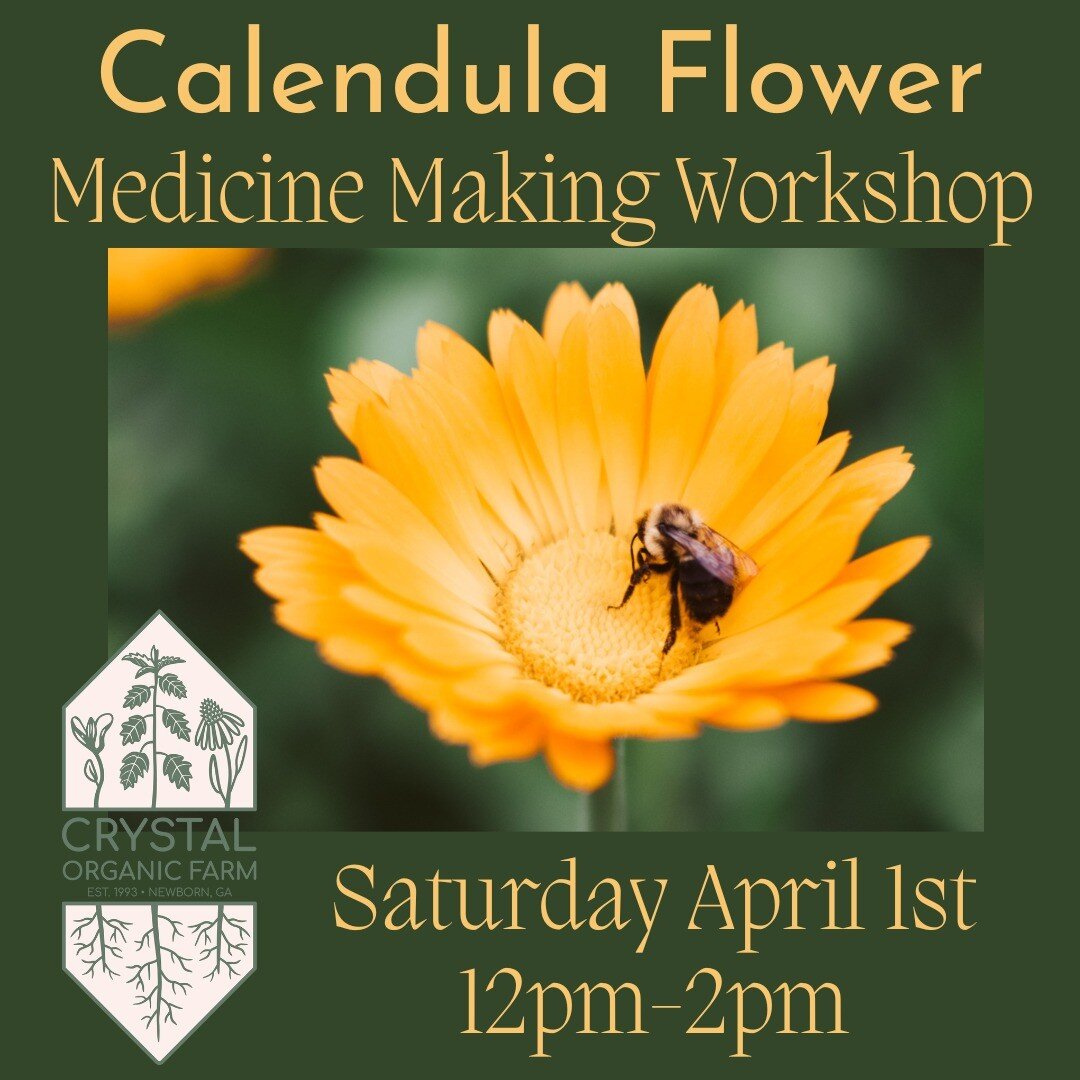 JOIN US for a hands on workshop where you will harvest and make your very own Calendula Flower Extract and Infused Body Oil. While medicine making, we will also share knowledge and insight into this beautiful medicinal flower while sipping farm fresh