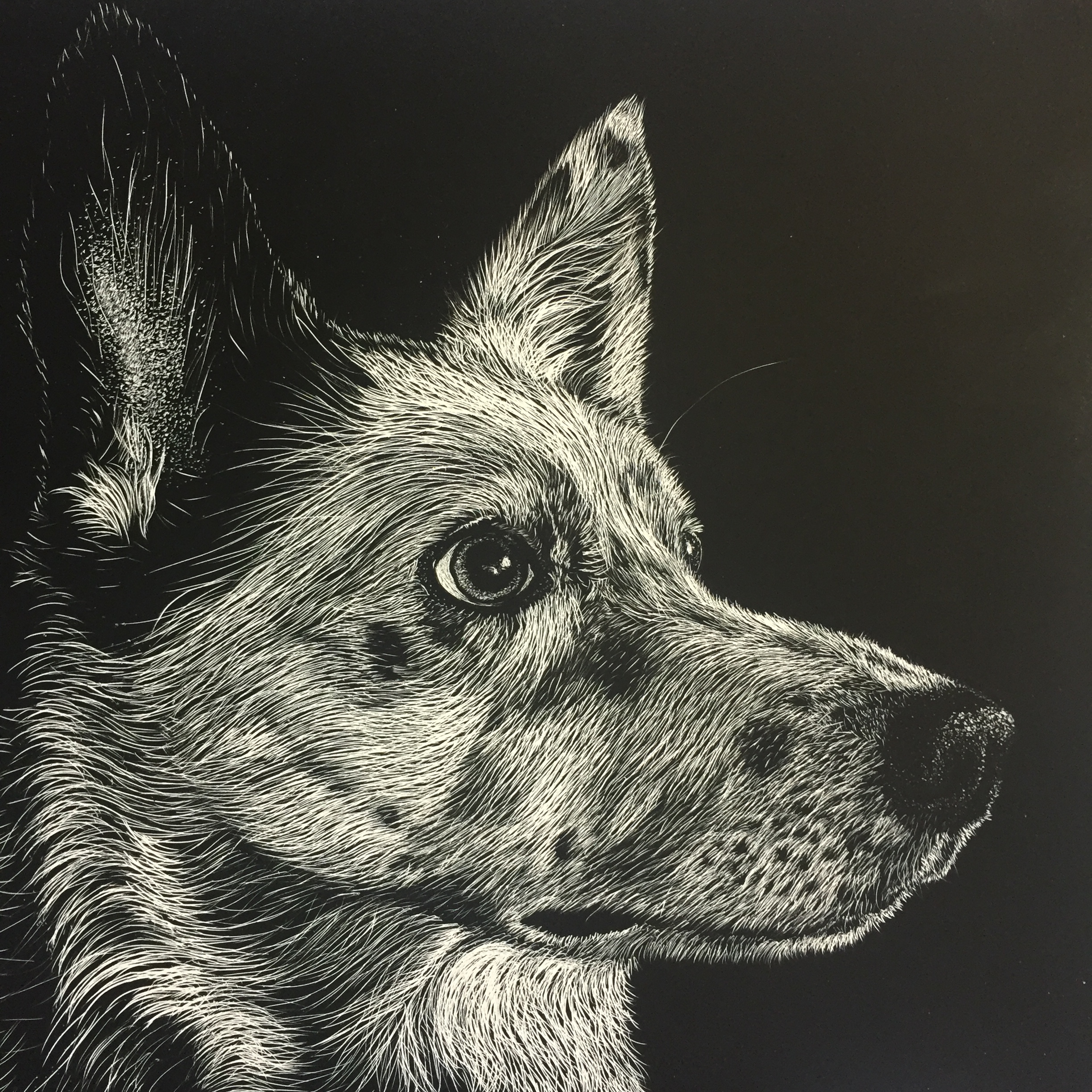 Commissioned Scratchboard Portrait — Made by Bee Jay Fine Art