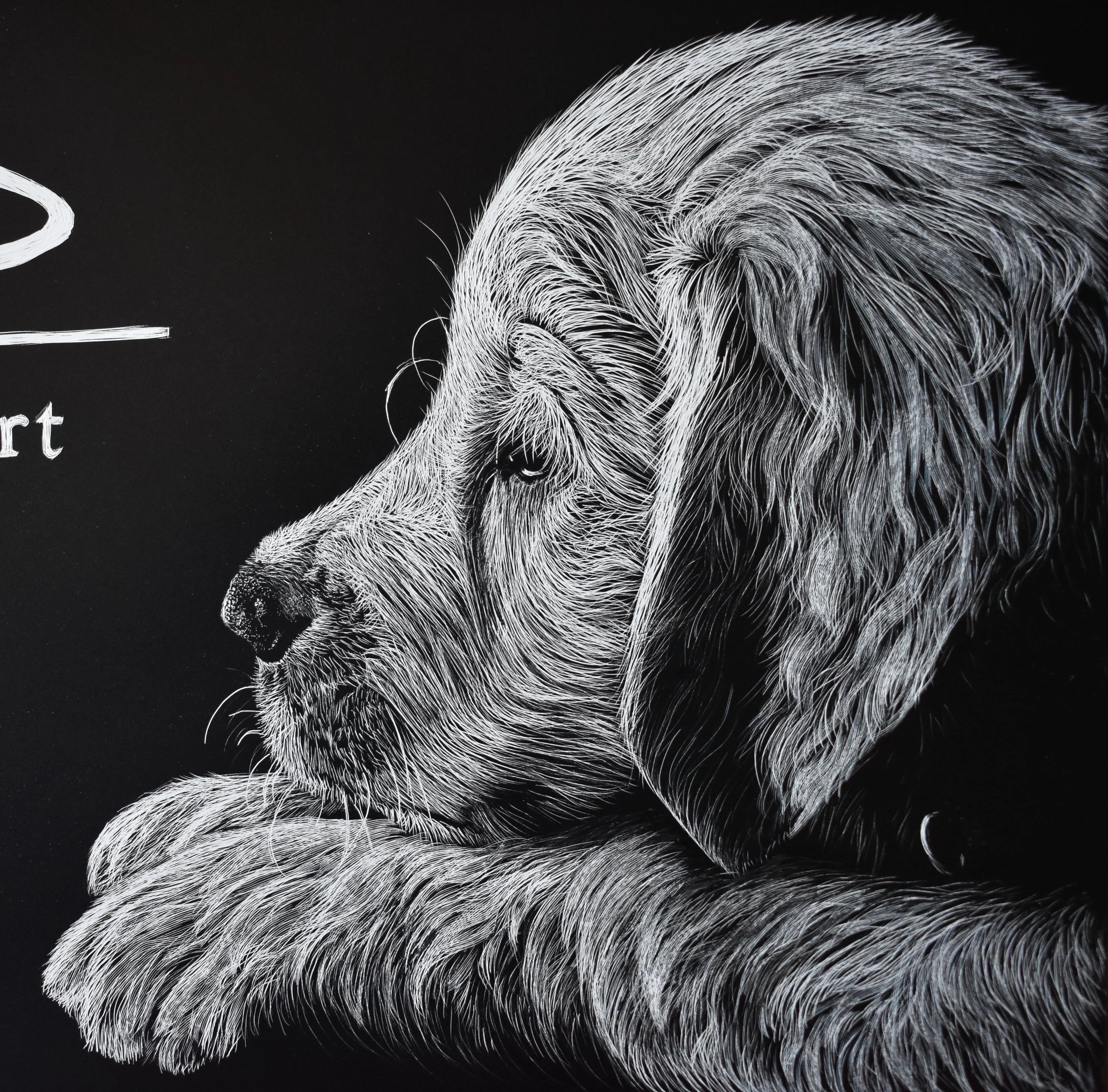 scratchboard for dogs