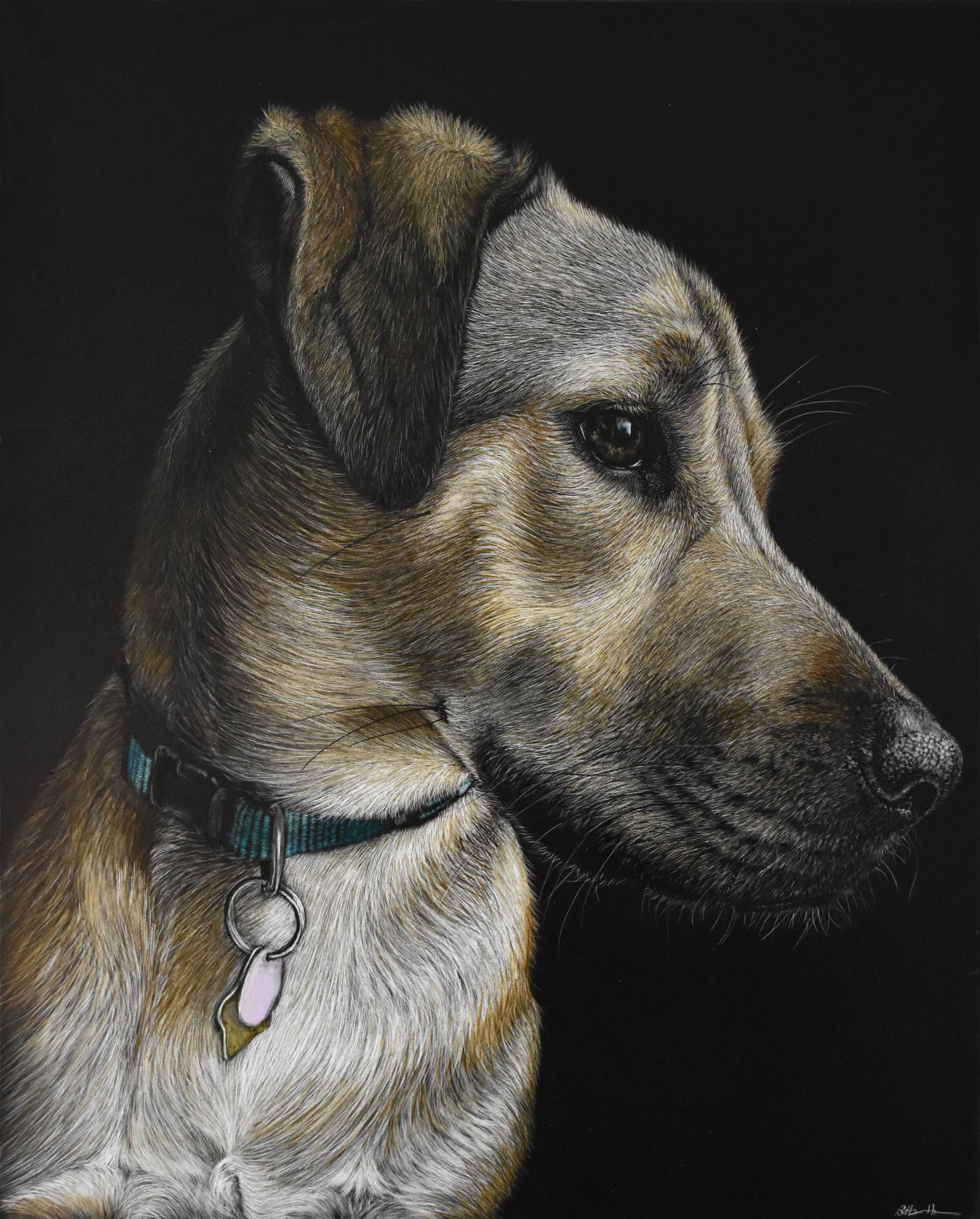 scratchboard for dogs