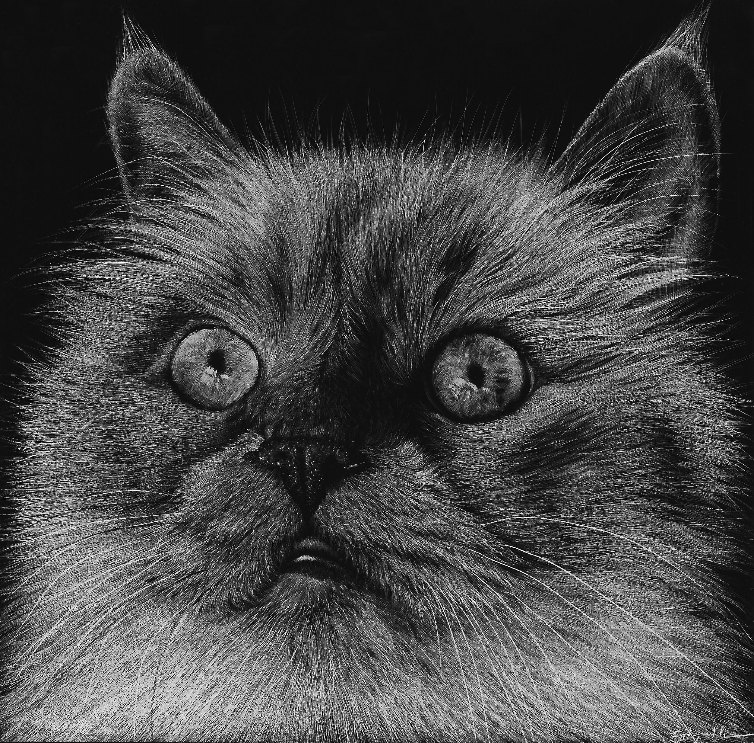 Commissioned Scratchboard Portrait — Made by Bee Jay Fine Art