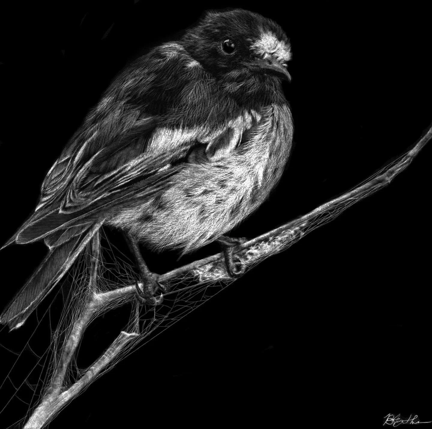 “Among Forgotten Threads.” ๐ฟ๐ธ๏ธ
A moment of stillness — a bird resting where time lingers. Cobwebs, delicate and weathered, weave their quiet story into the branch, reminding us that beauty is often found in what endures unnoticed.