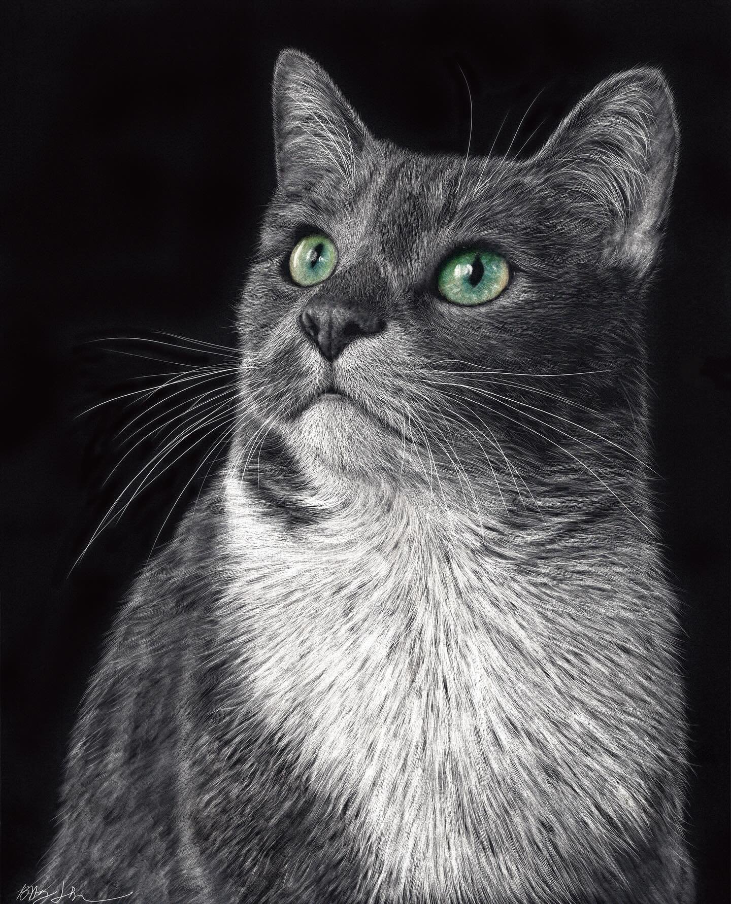 Daisy
8&rdquo; x 10&rdquo; Scratchboard with inks

Five rounds of inking.
Layering.
Scratching back.
Repeating.

So grateful to create meaningful pieces that become gifts and surprises.

#scratchboardart #scratchboardartist #coloredscratchboard #scra