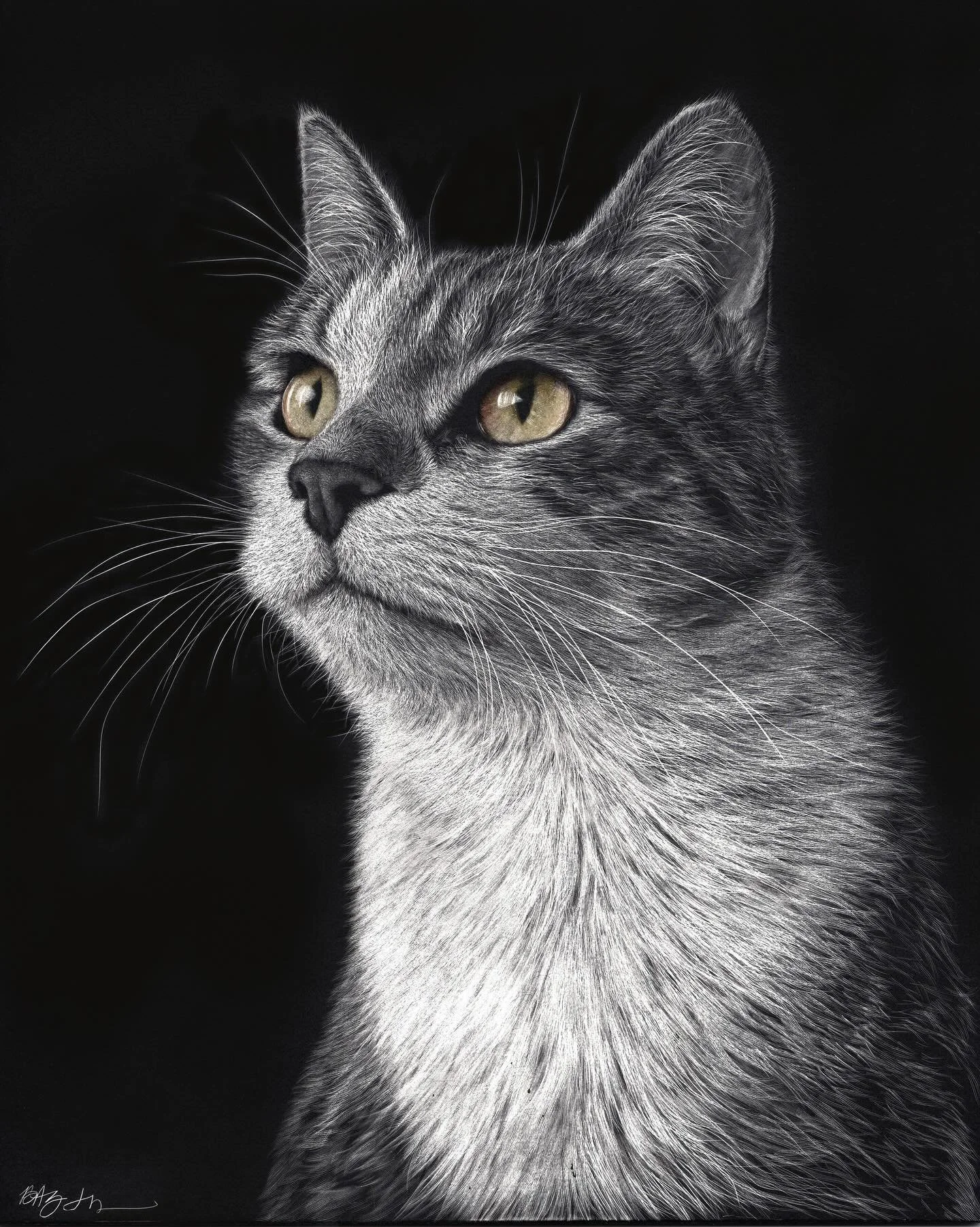 Gatsby
8&rdquo; x 10&rdquo; Scratchboard with inks

You voted.
He won.

The companion piece to Daisy &mdash; rich shadows, bold eyes, and light carved slowly from darkness.

These two were always meant to hang side by side.

#scratchboardart #scratch