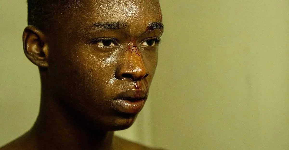 Moonlight, The OA, and Frank Ocean Among GLAAD Media Award Nominees