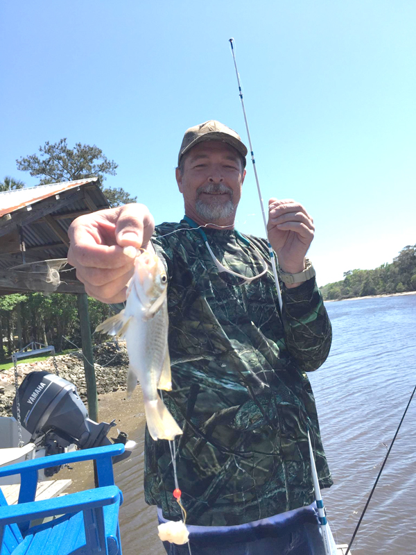 whiting2.jpeg