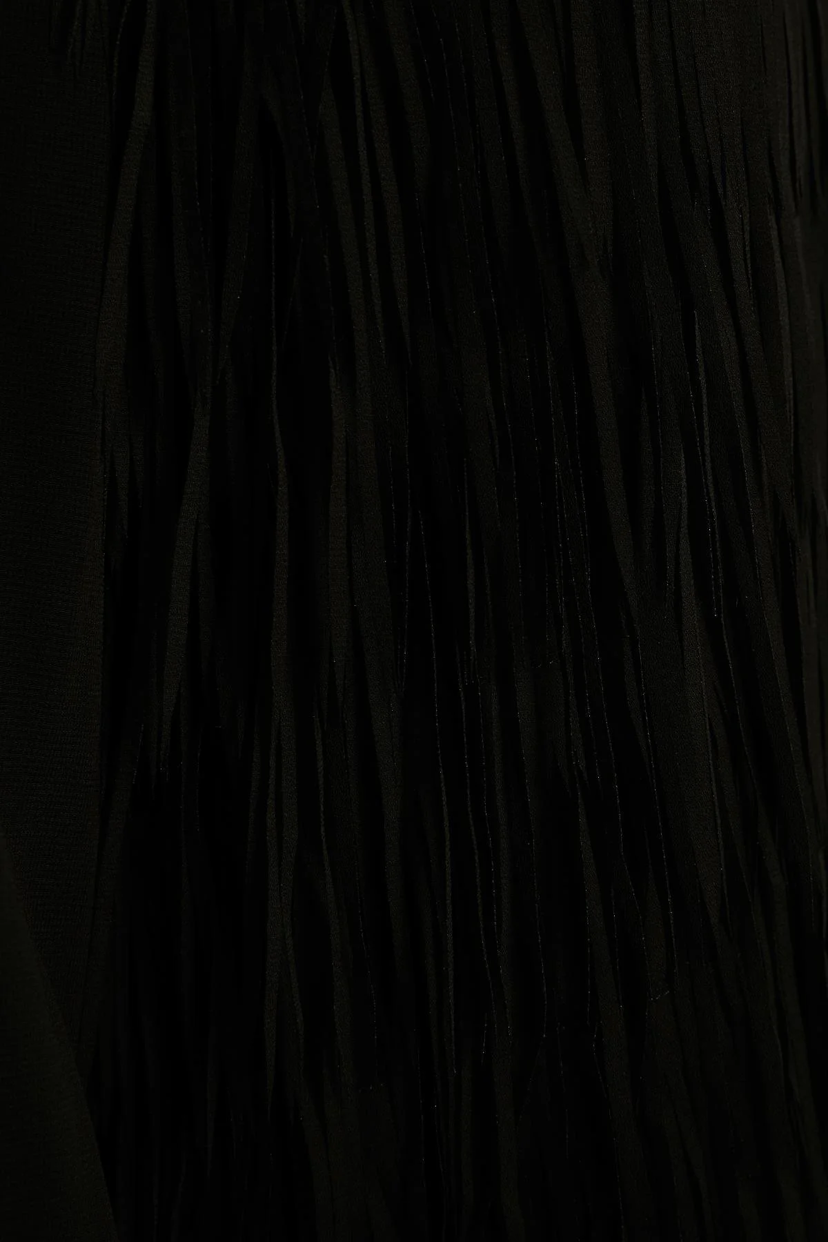 481541_5.jpg
