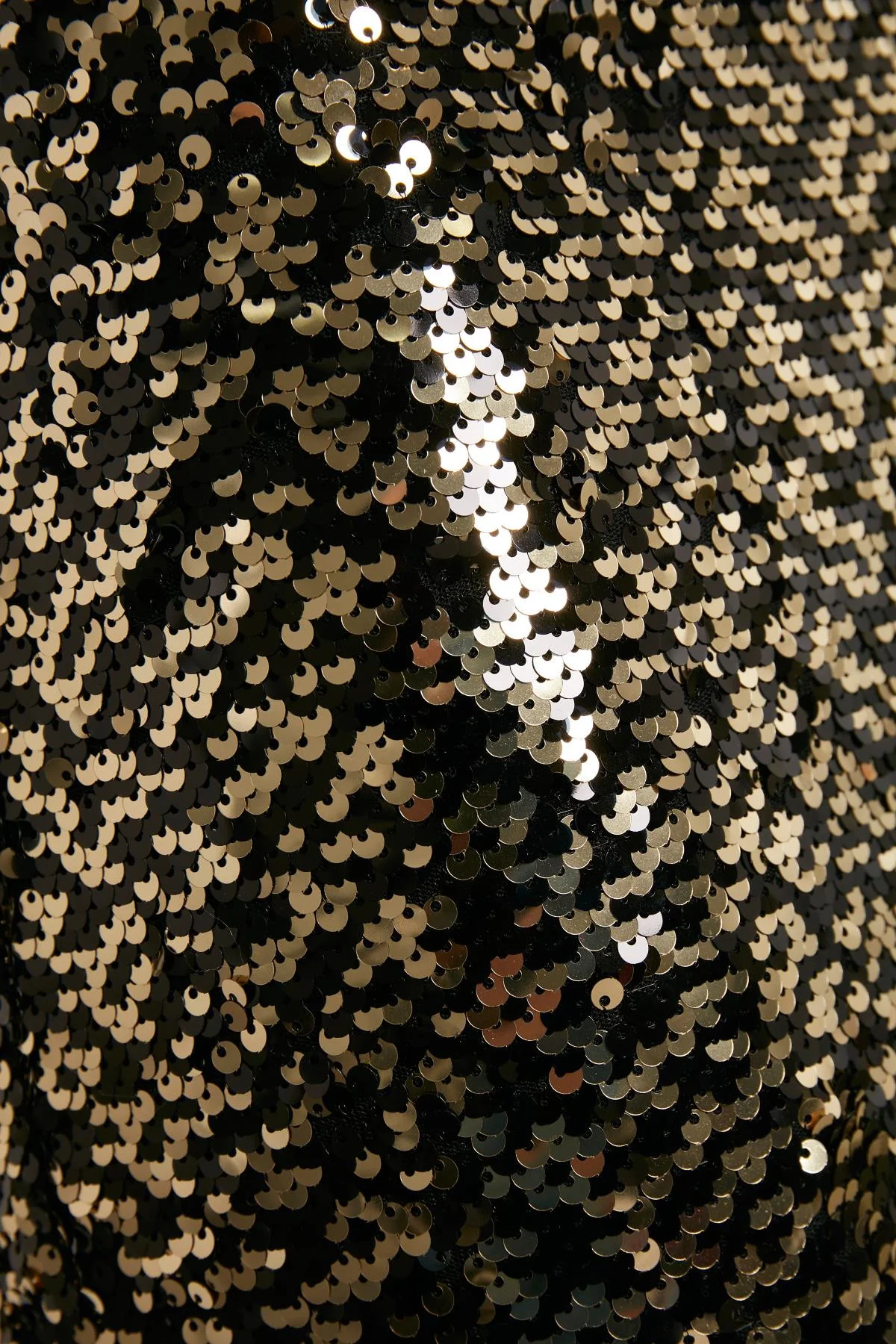 481540_5.jpg