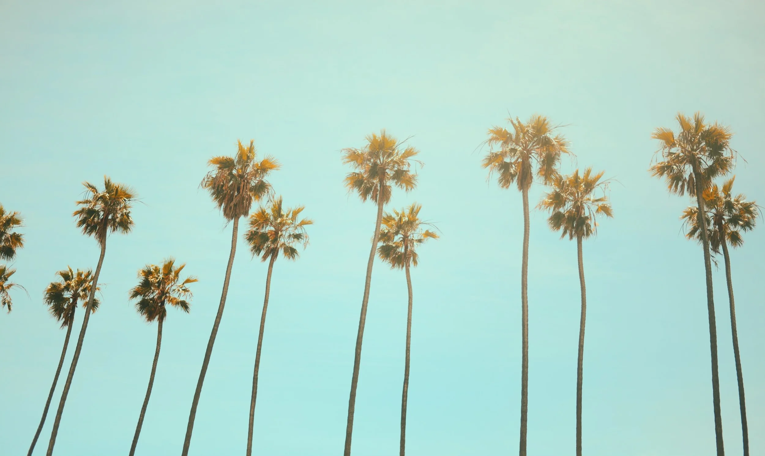How to Find a Therapist, Psychologist or Psychotherapist in Santa Monica (and what’s the difference anyway?)