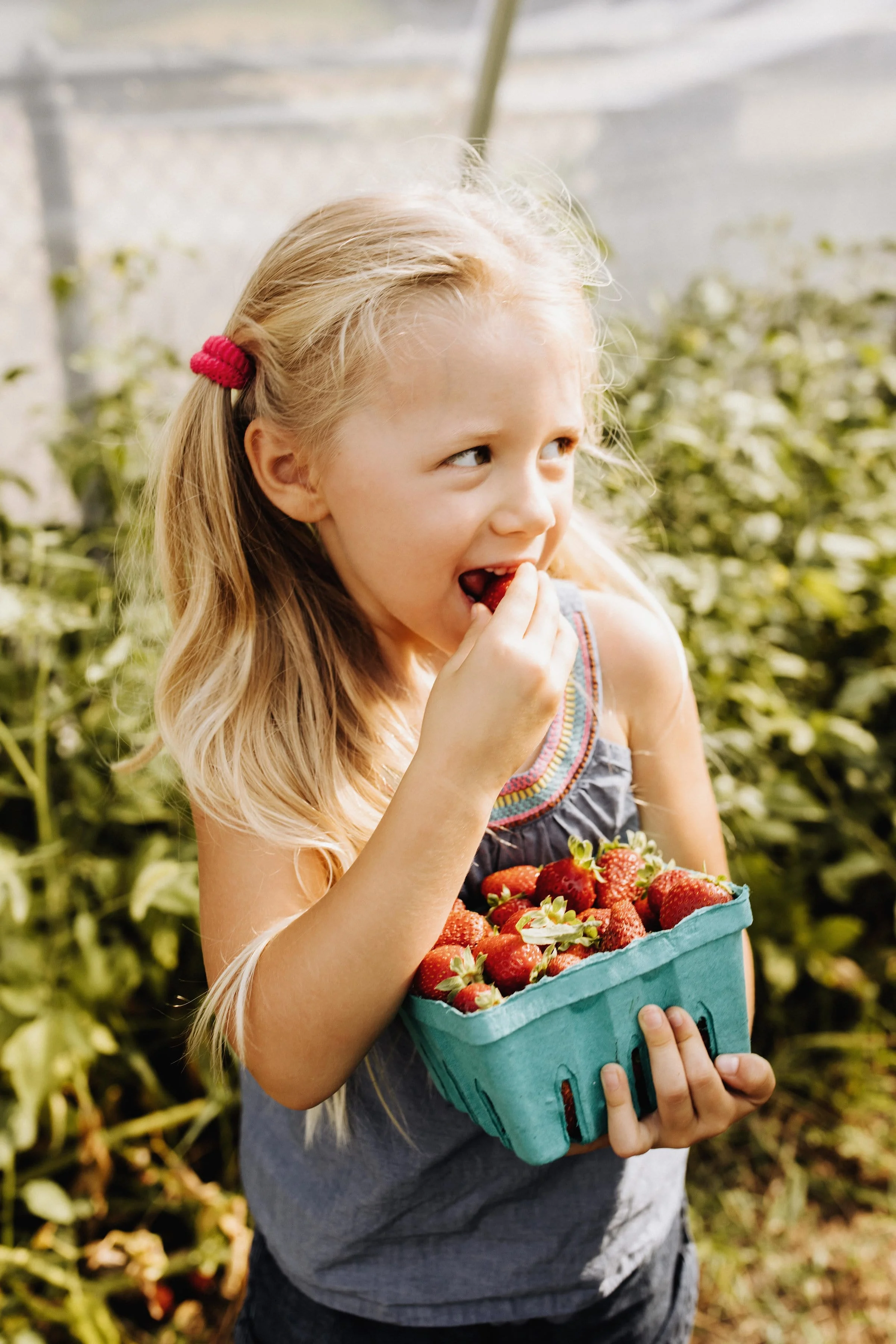 HoldingStrawberries_OD_G_01.jpg